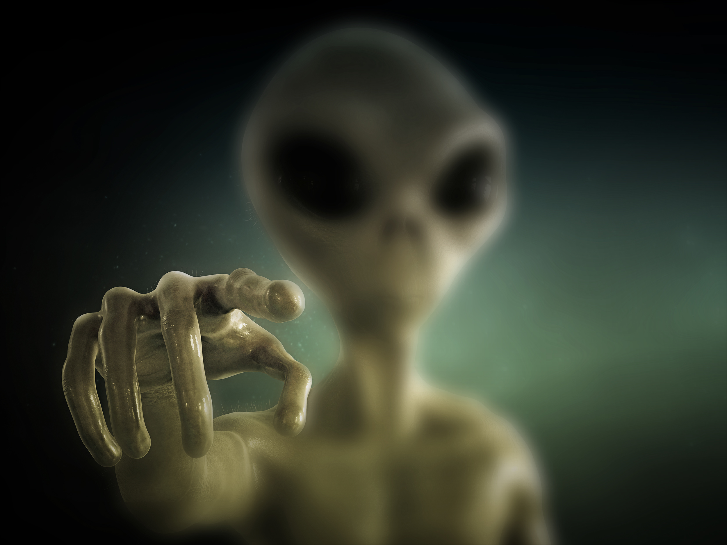 user avatar image for V.G.