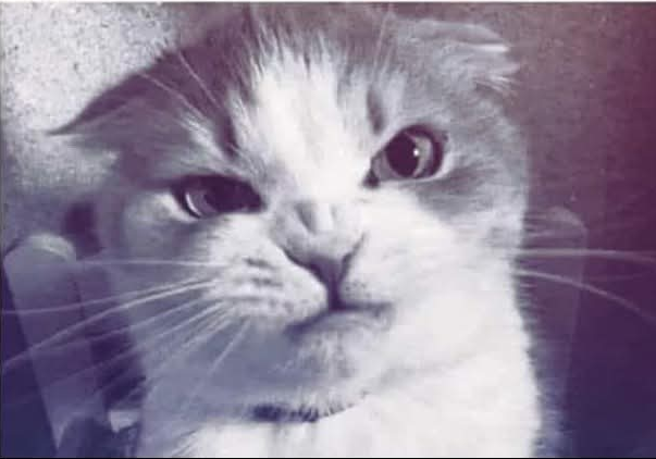 user avatar image for Lukasz Soltykowski