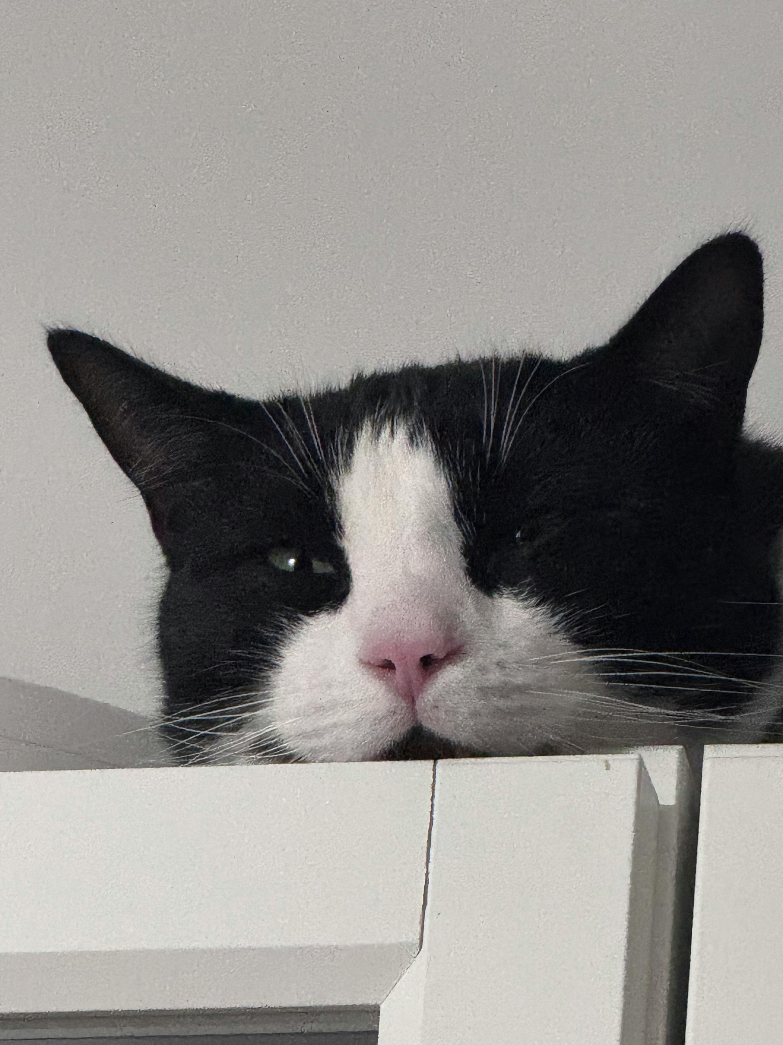 user avatar image for Charlin