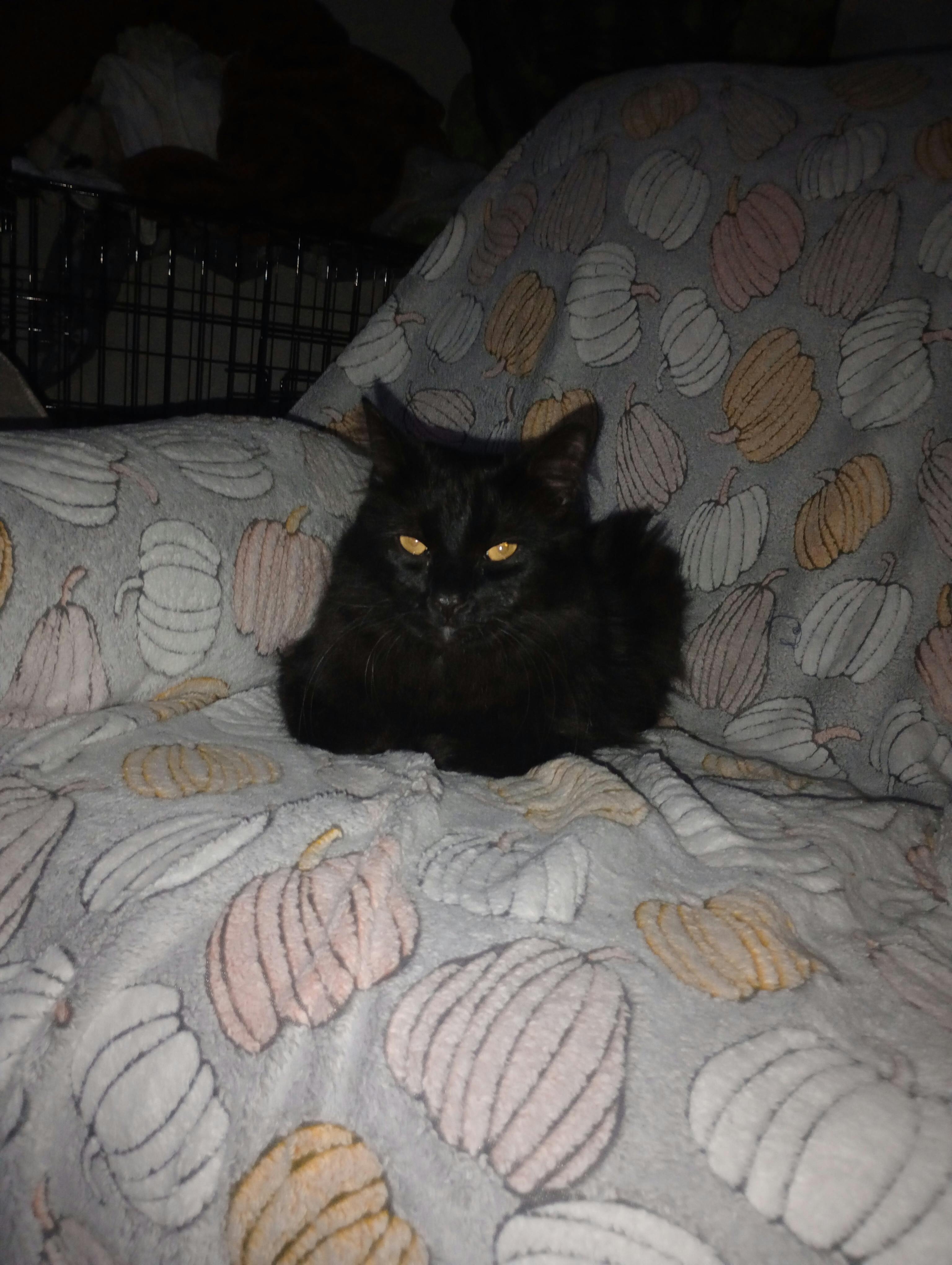 user avatar image for Ky