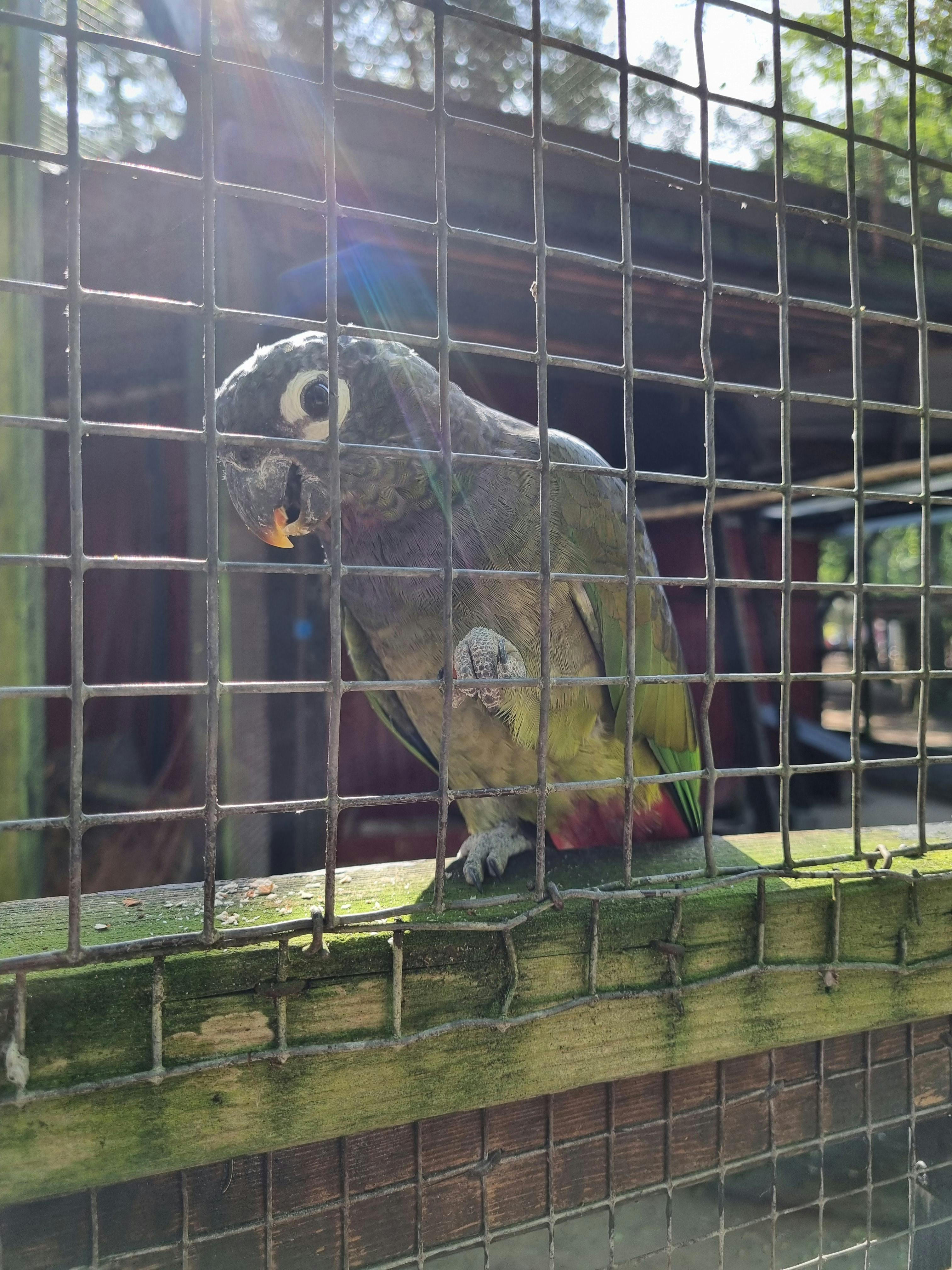 user avatar image for Martin Wessman Liljefors