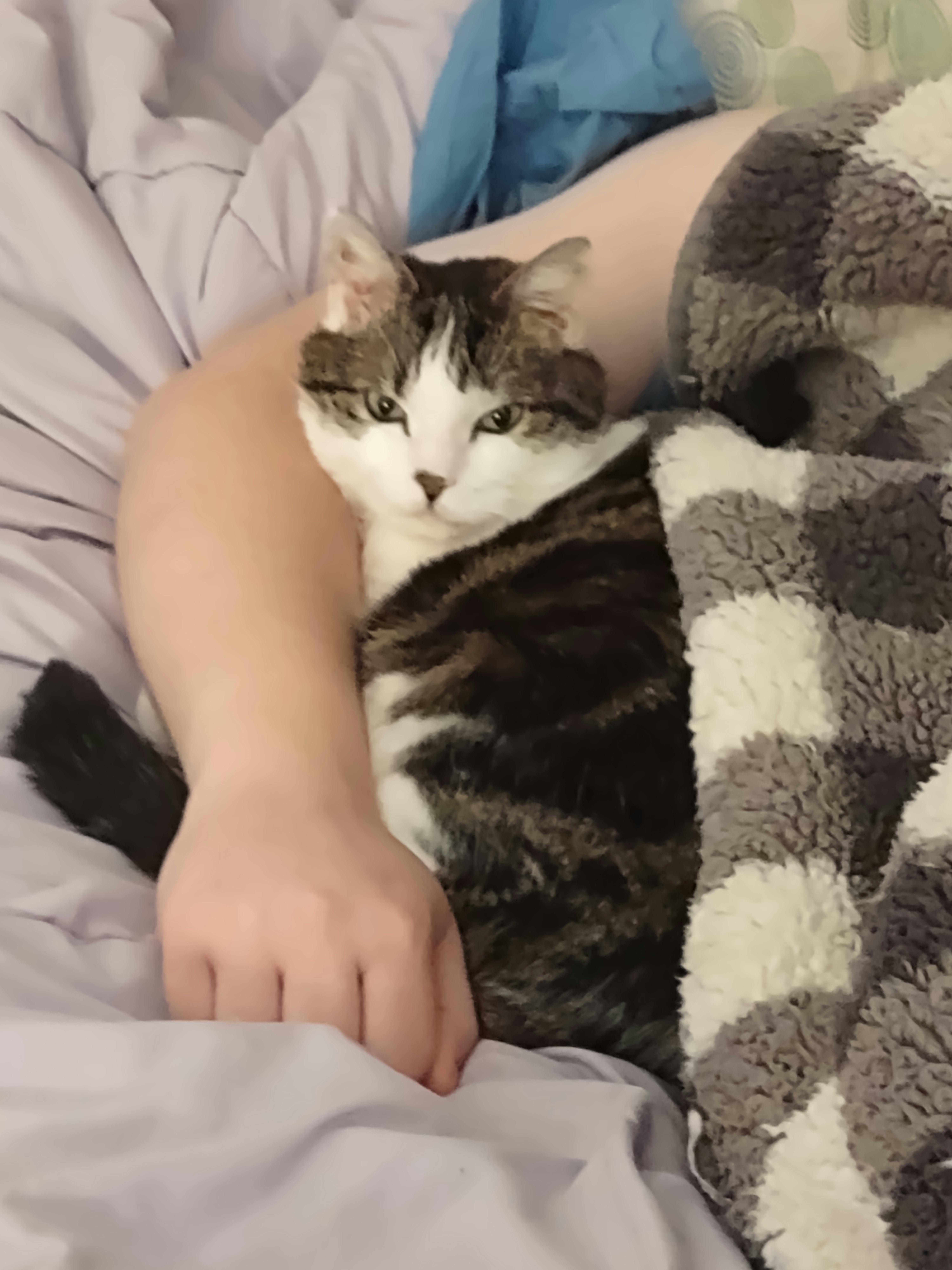 user avatar image for aredlily