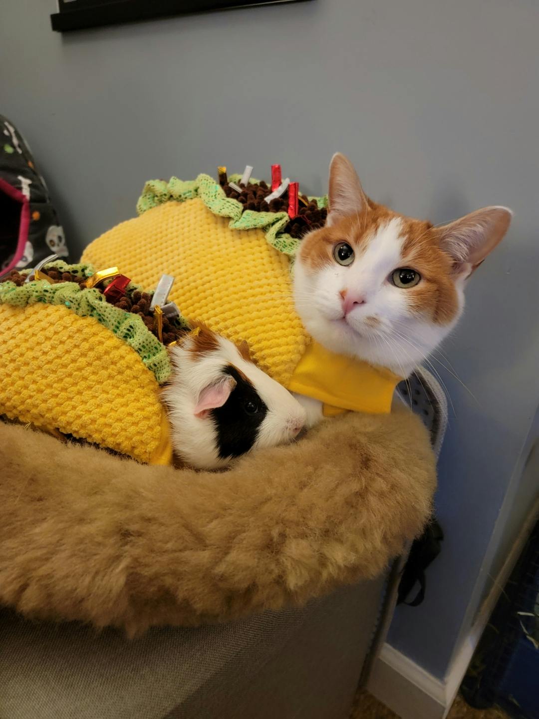 user avatar image for Paula