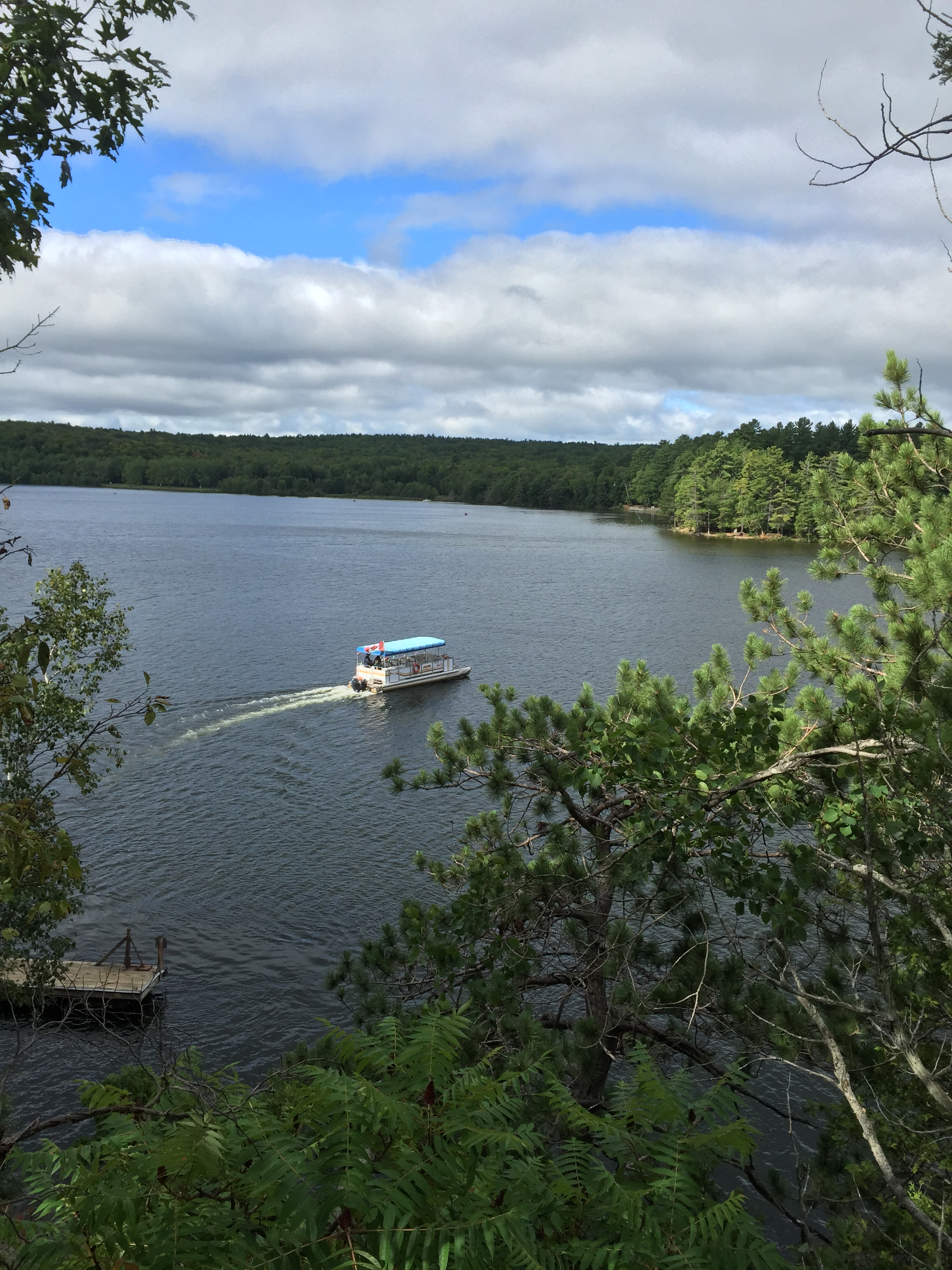 user avatar image for Brad Massingham