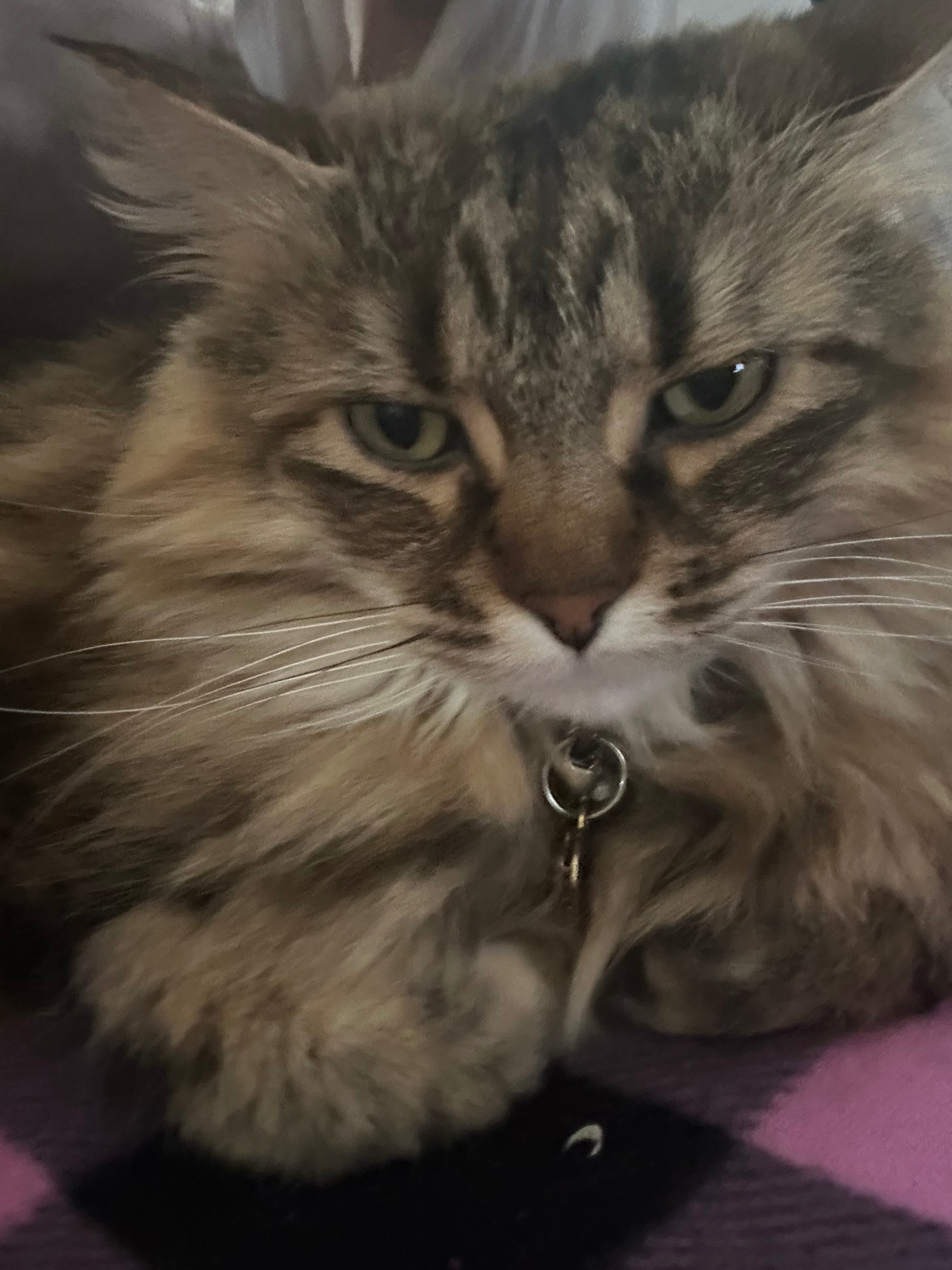 user avatar image for Jessica Babb