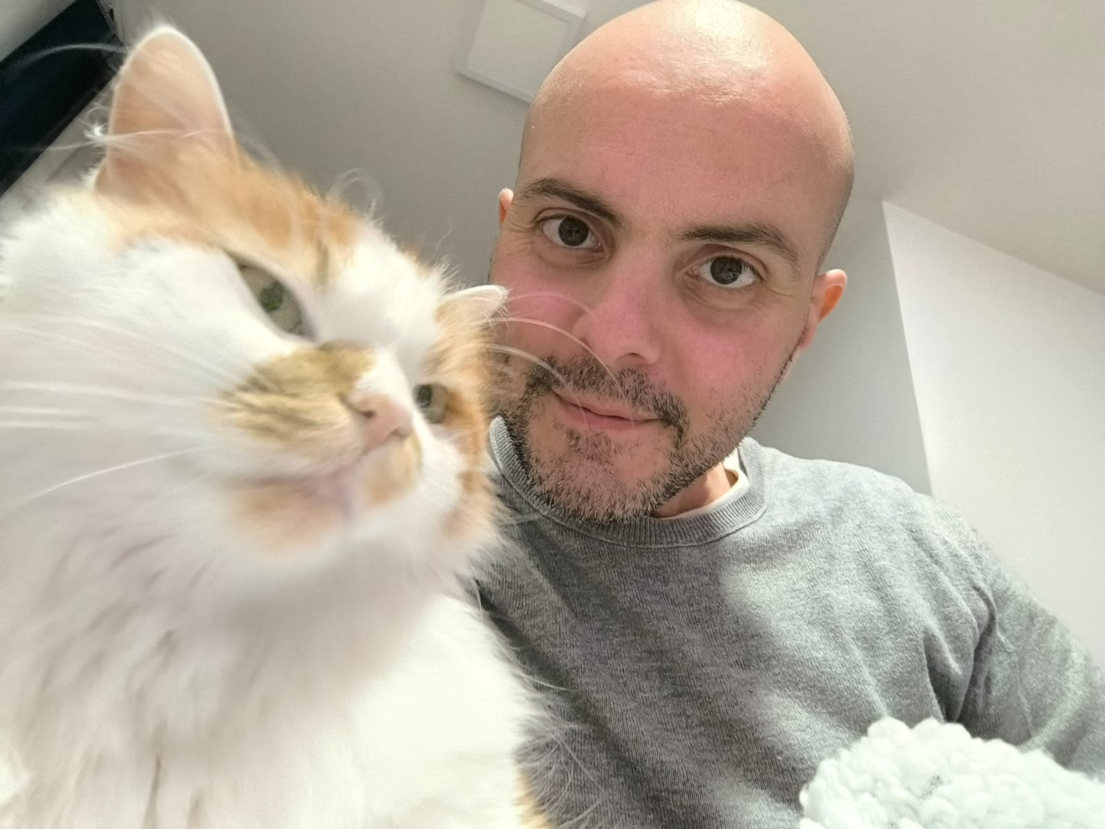 user avatar image for Justin Bonnici