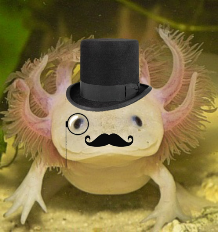user avatar image for FancyAxolotl