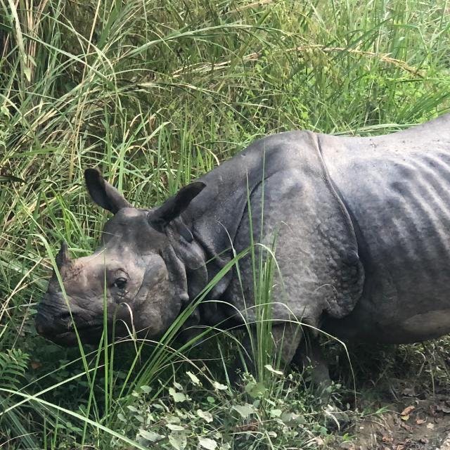 user avatar image for Elliot Brown