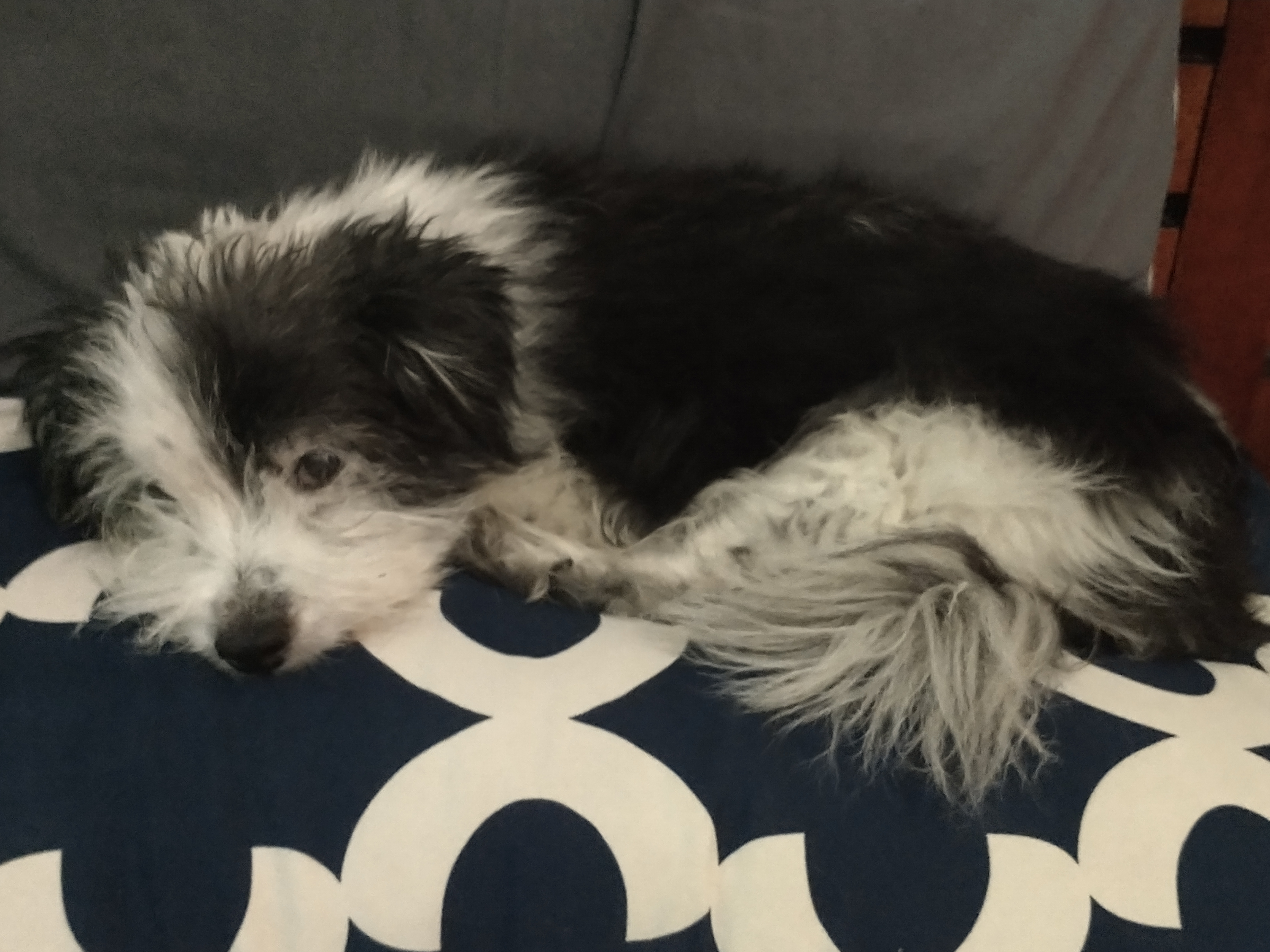 user avatar image for Cynthum