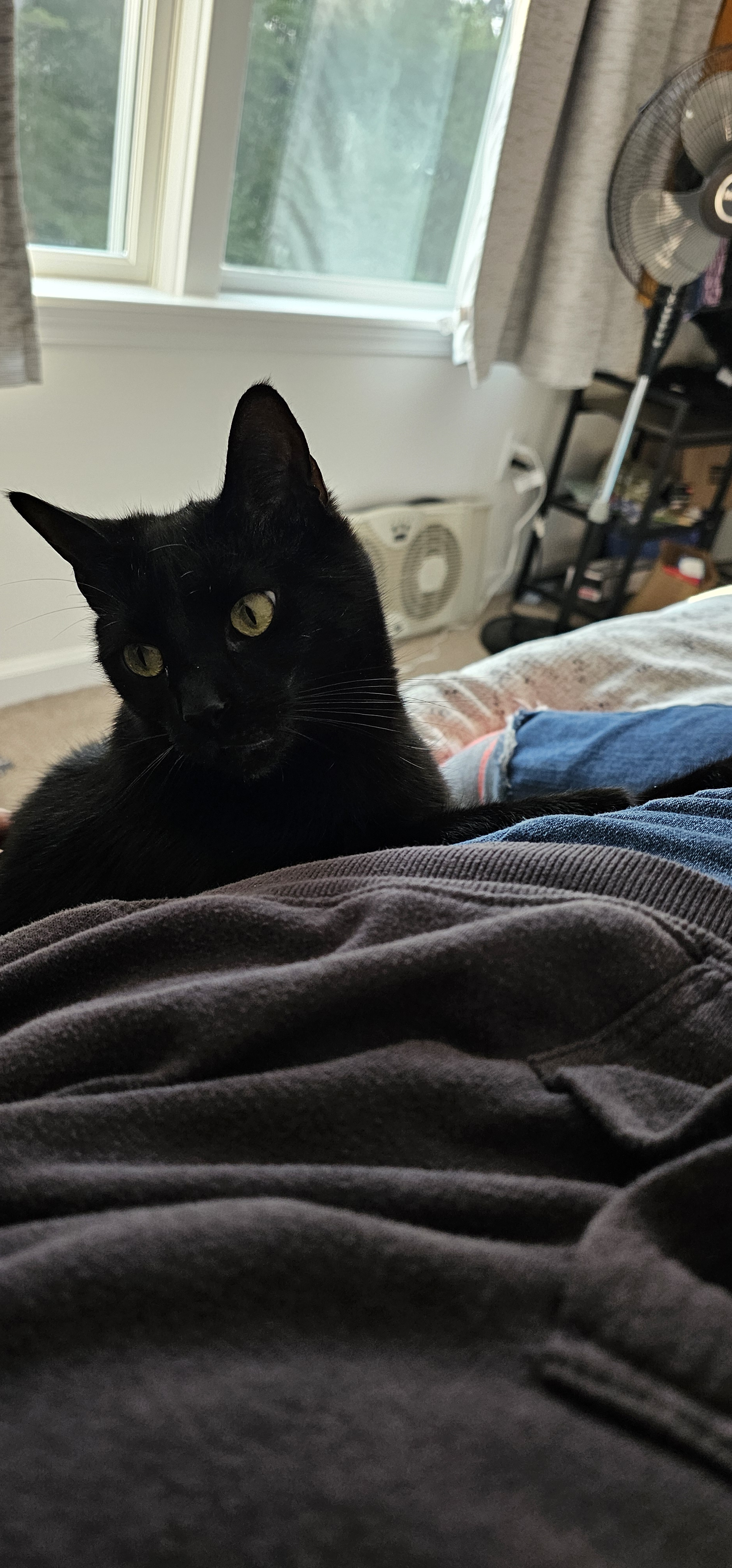 user avatar image for Giggle smurf 