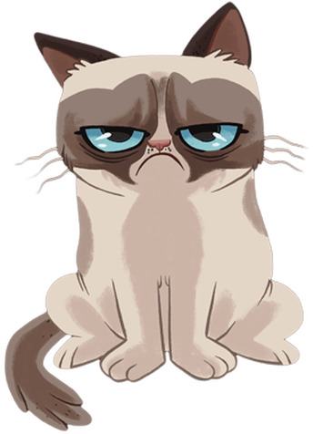 user avatar image for Amanda M