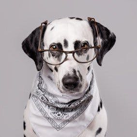 user avatar image for Benjamin Kleiner