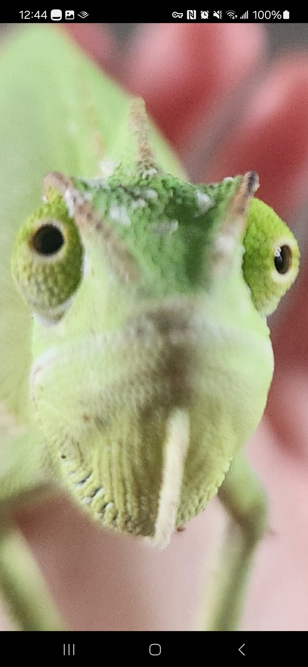 user avatar image for C1r3z5