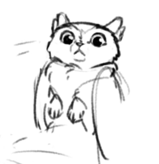 user avatar image for Birdie