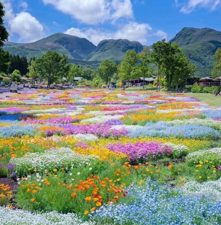 user avatar image for Taylor