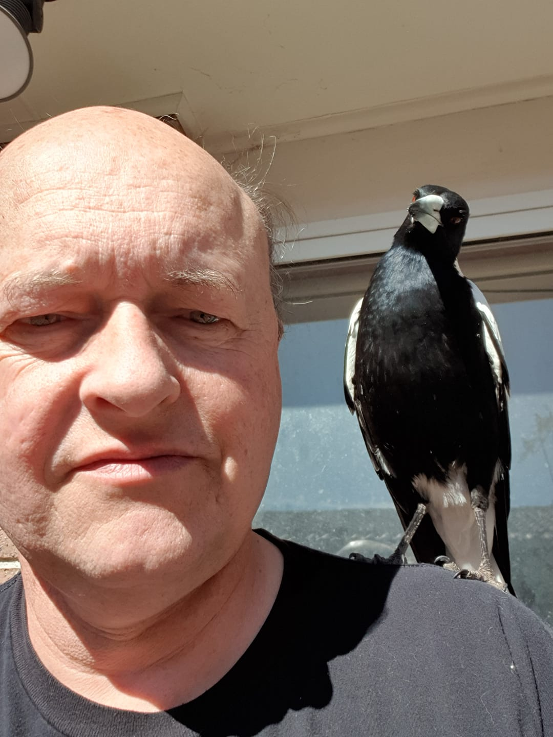 user avatar image for Shayne Lynch