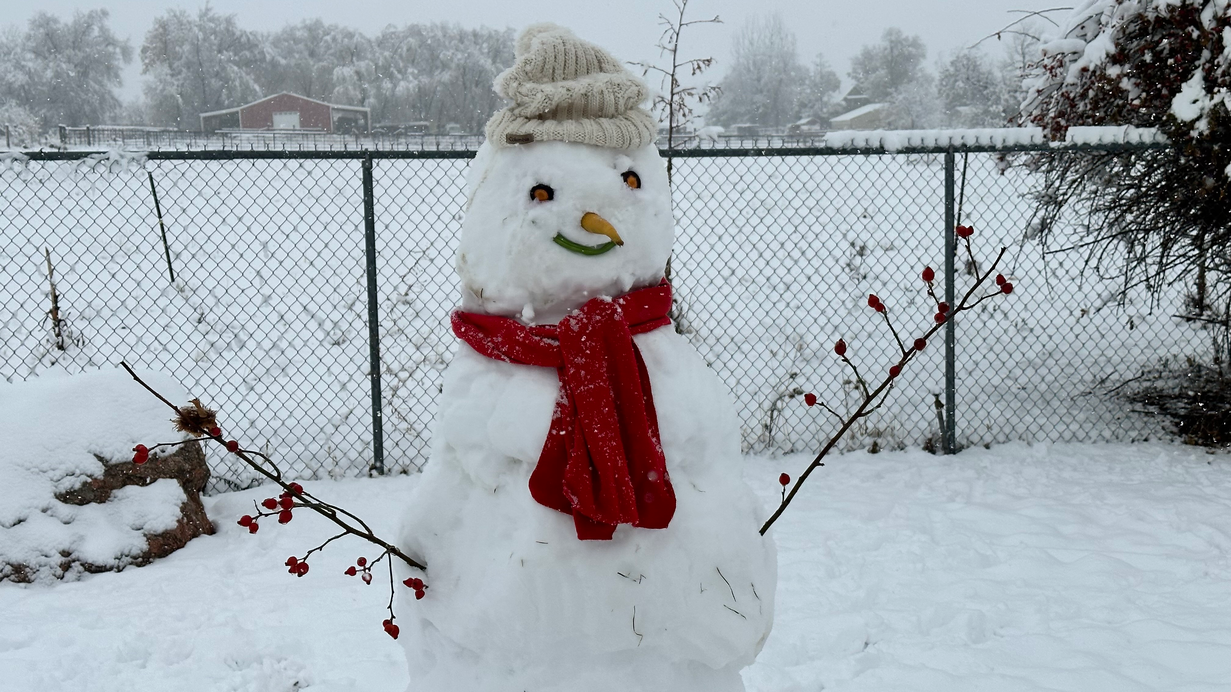 user avatar image for Sean P Daniels