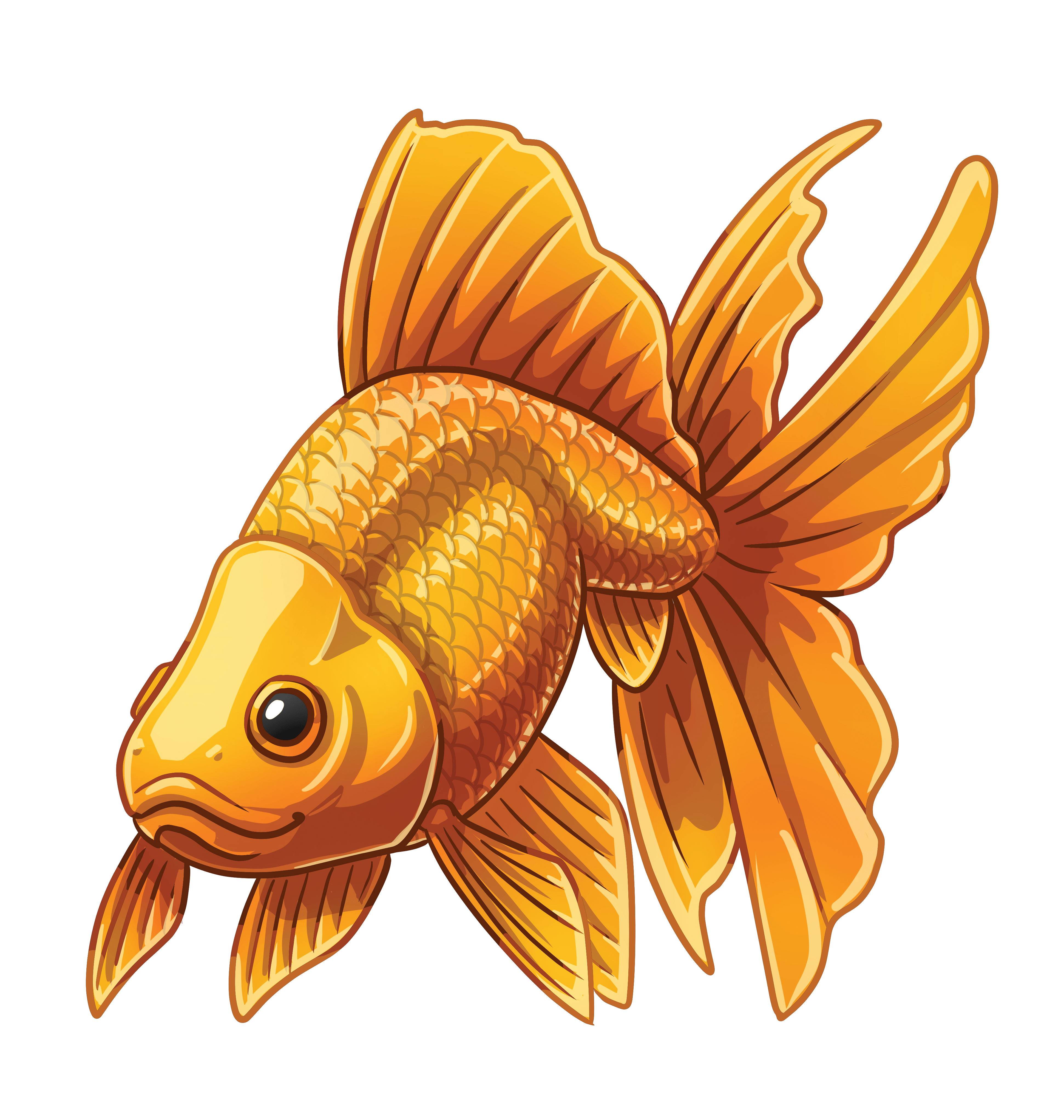Sea Life