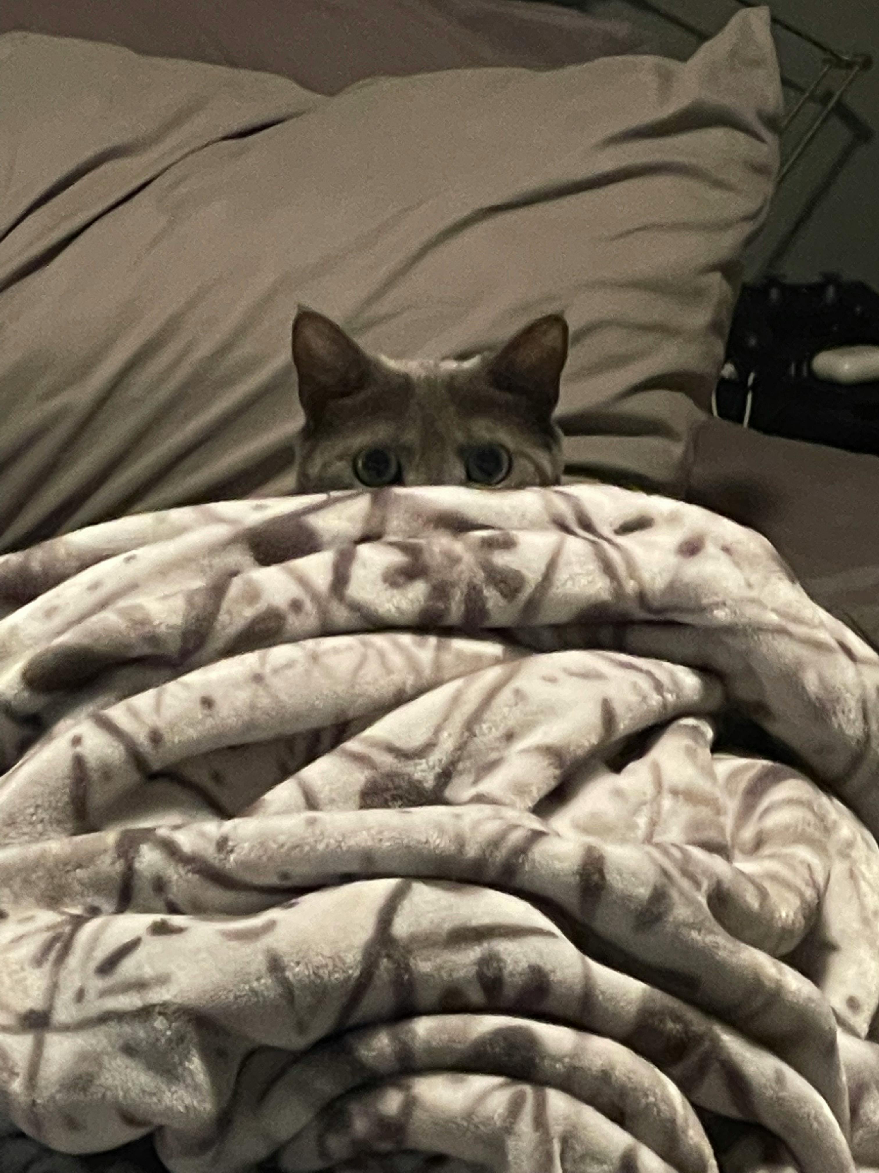 user avatar image for itsokimbatman