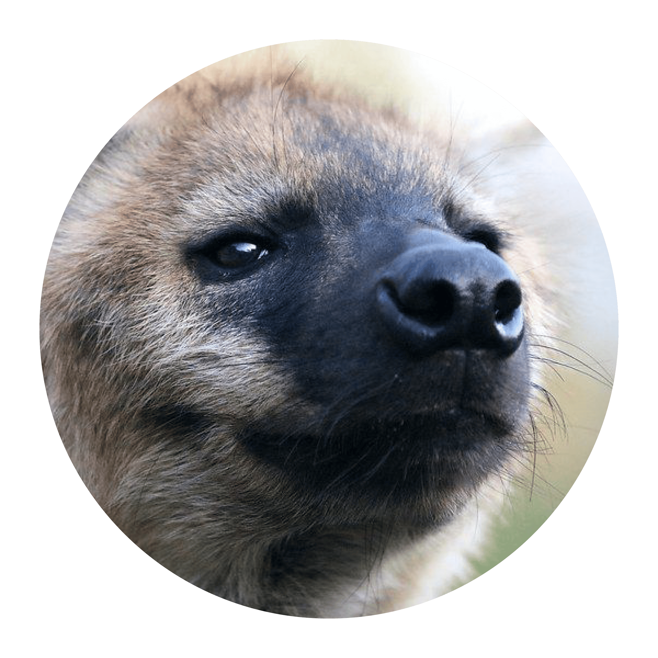 user avatar image for butteredbits