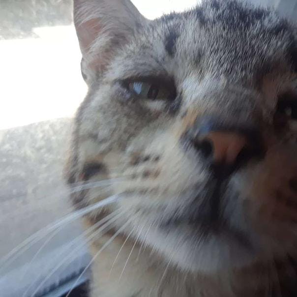 user avatar image for Steven W. Hunt