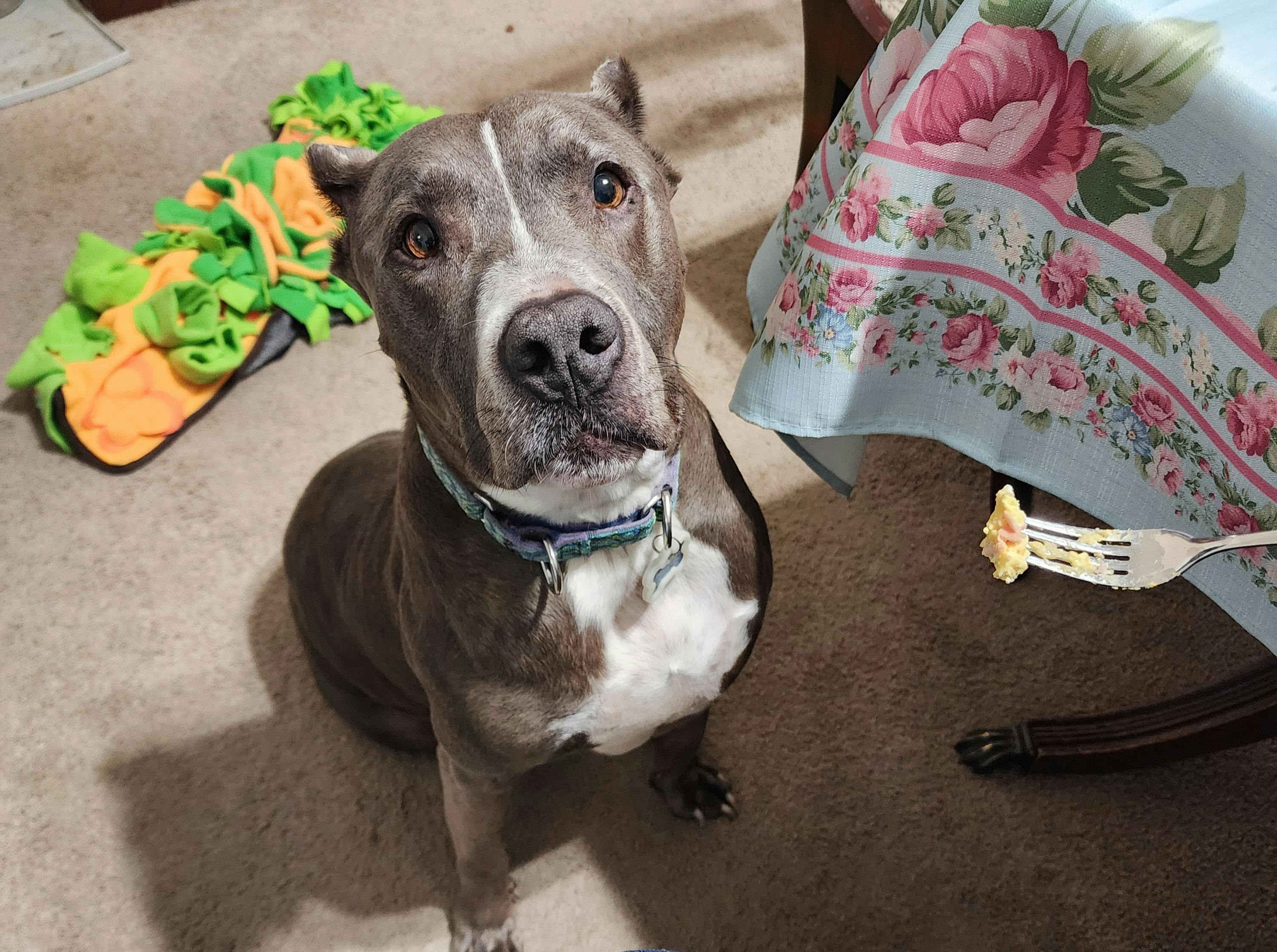 user avatar image for CindyMA