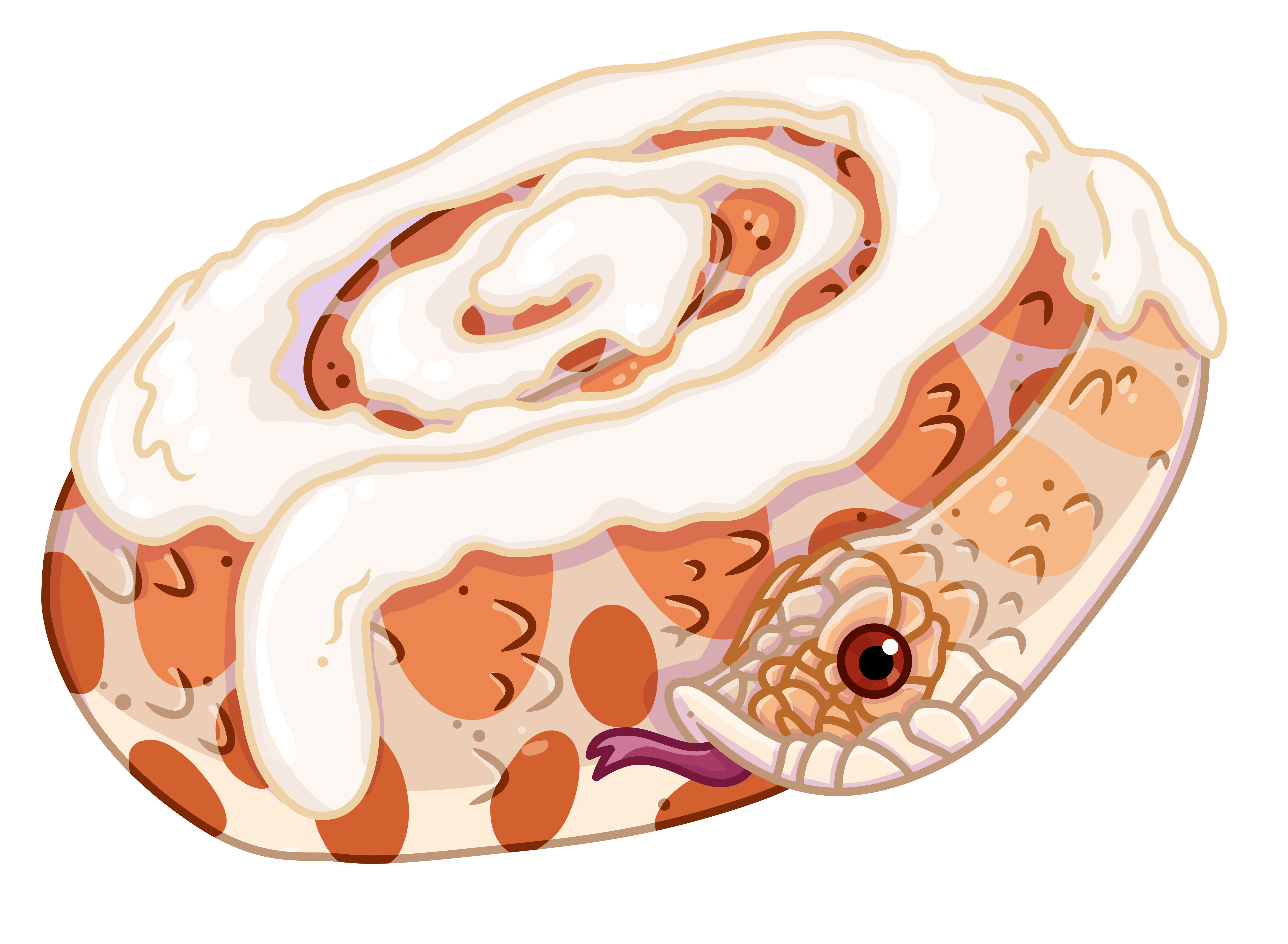 Cinnamon Roll Hognose Snek