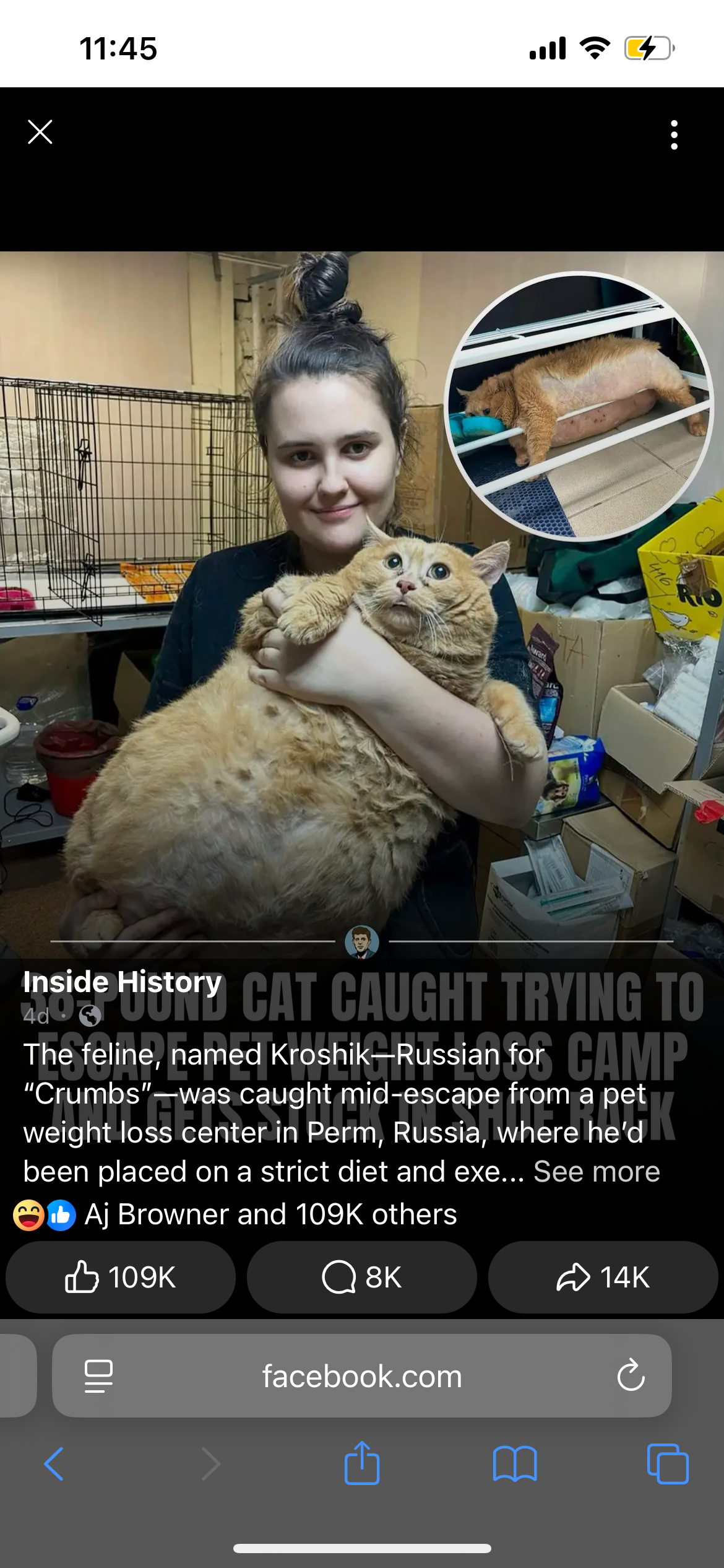 user avatar image for Dokkaeblen