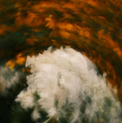 user avatar image for Hex