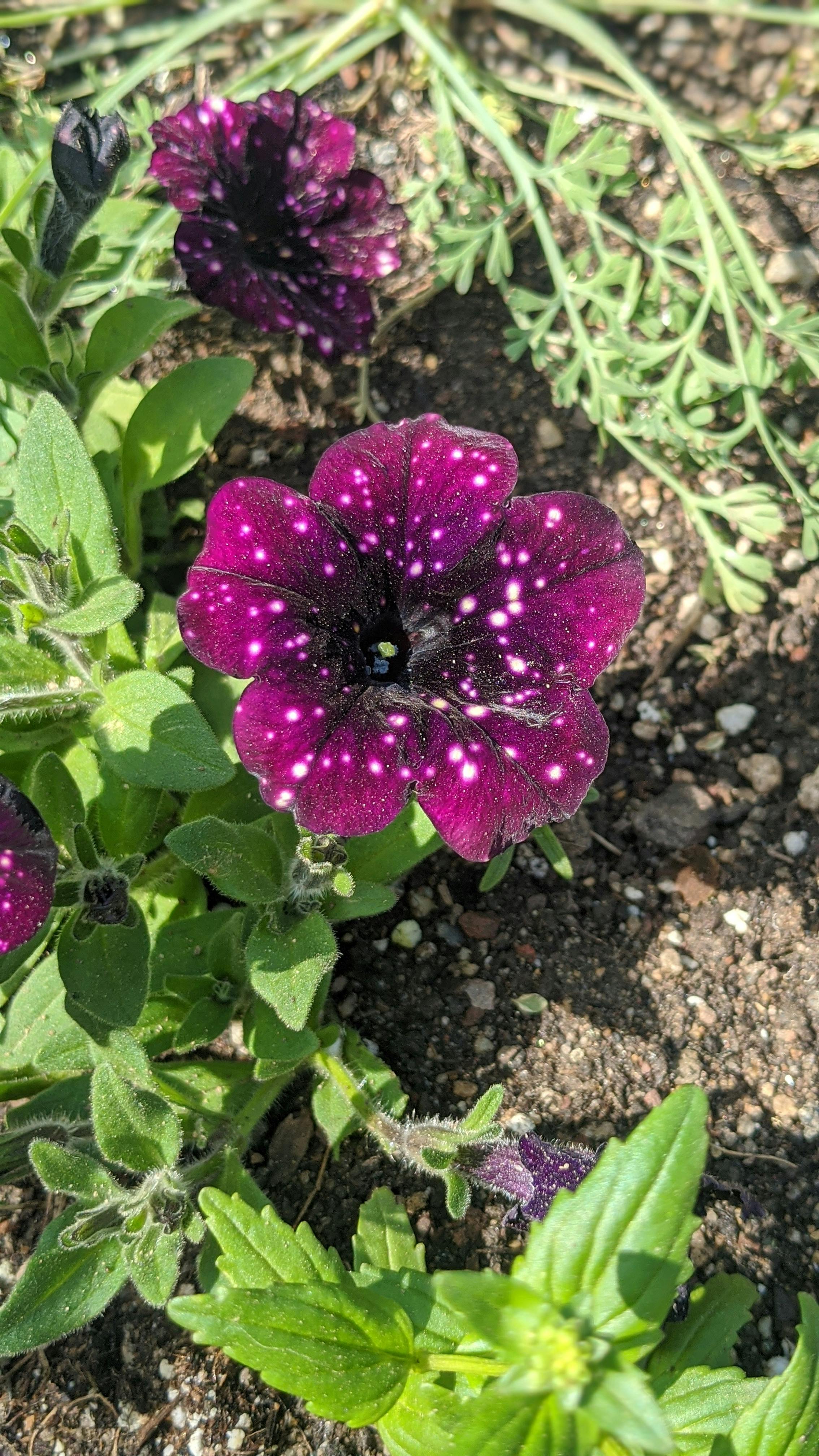 user avatar image for KW