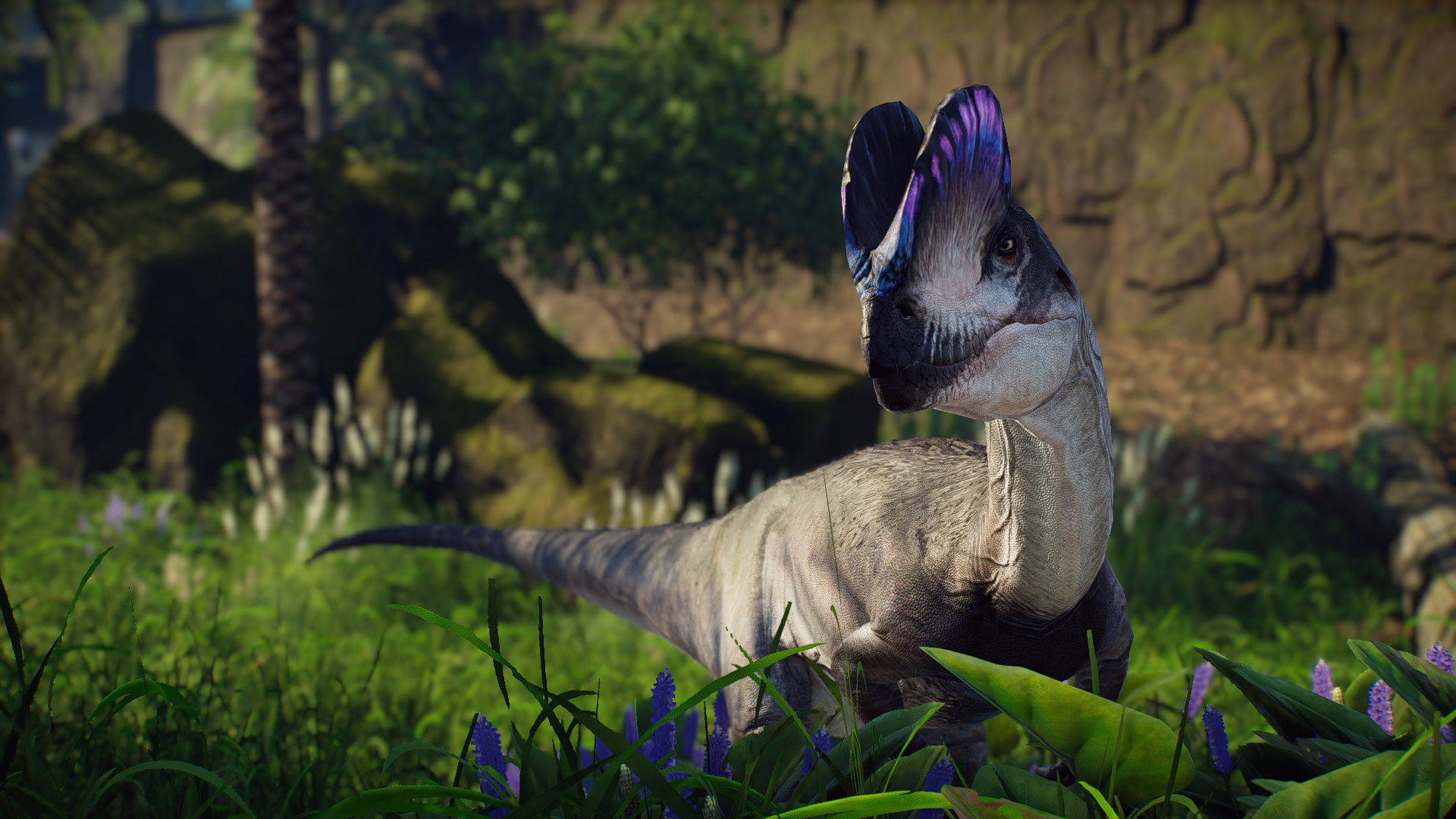 user avatar image for dilophosaur