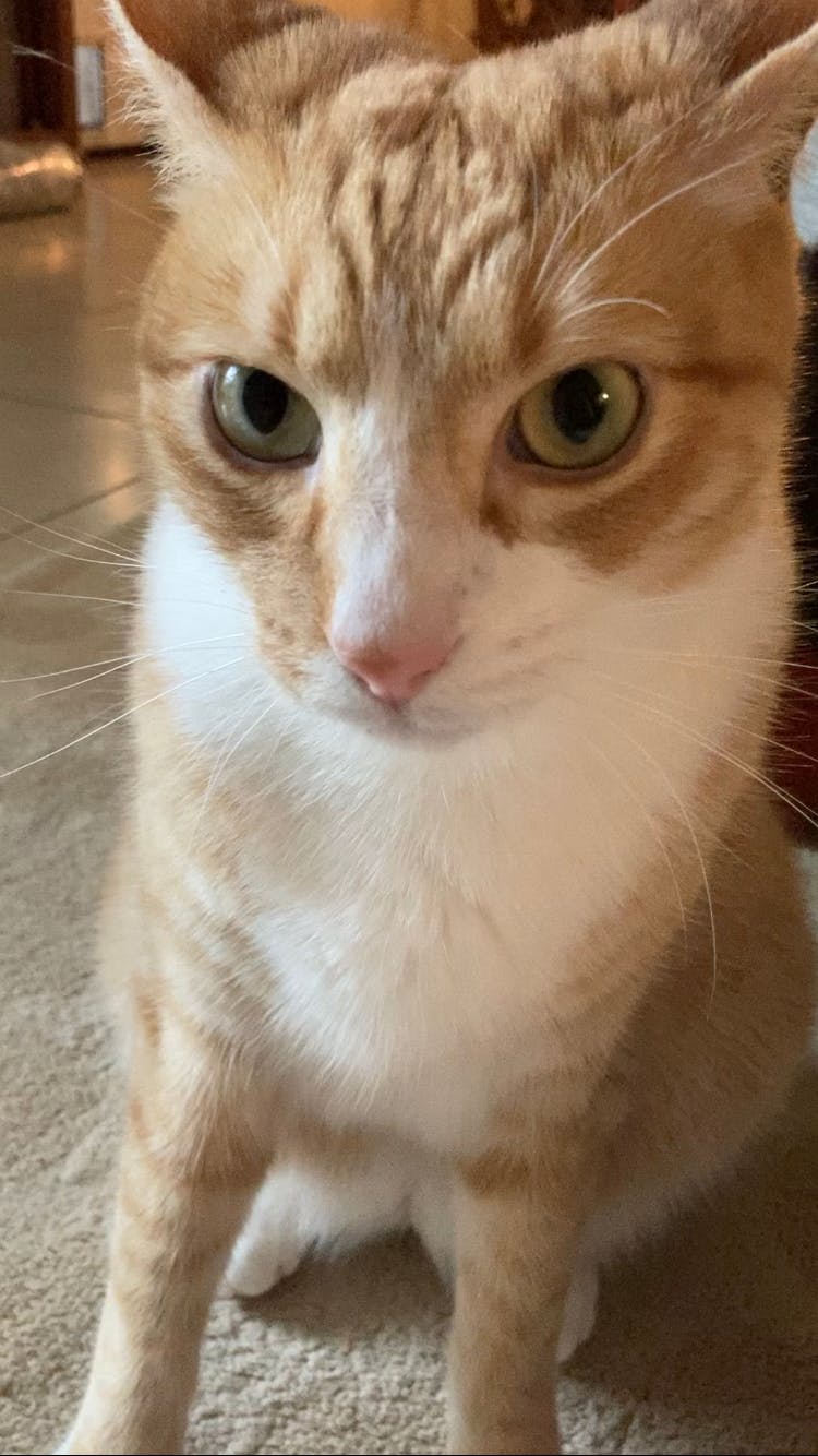 user avatar image for morel