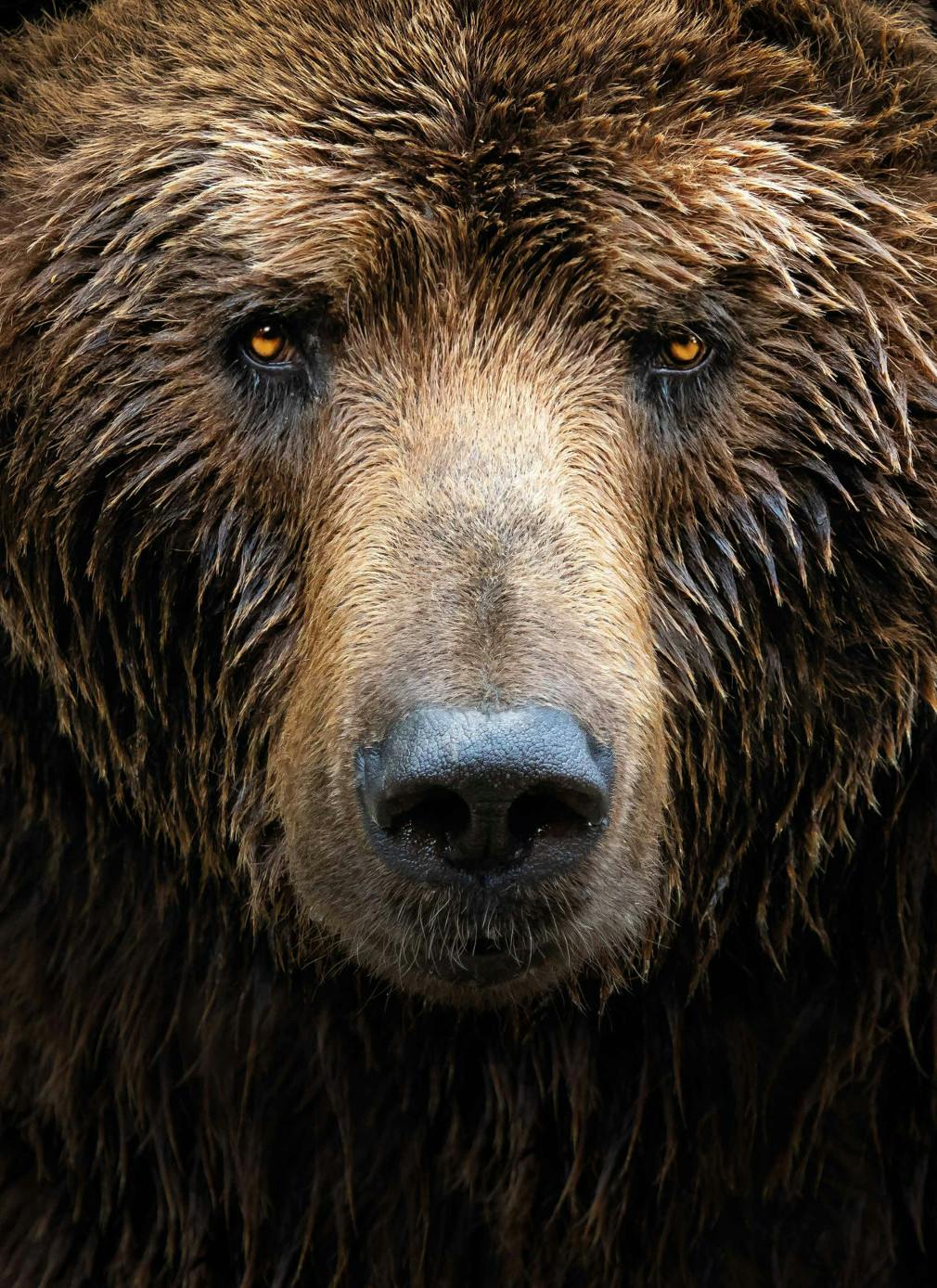 user avatar image for Dr Jester Guru