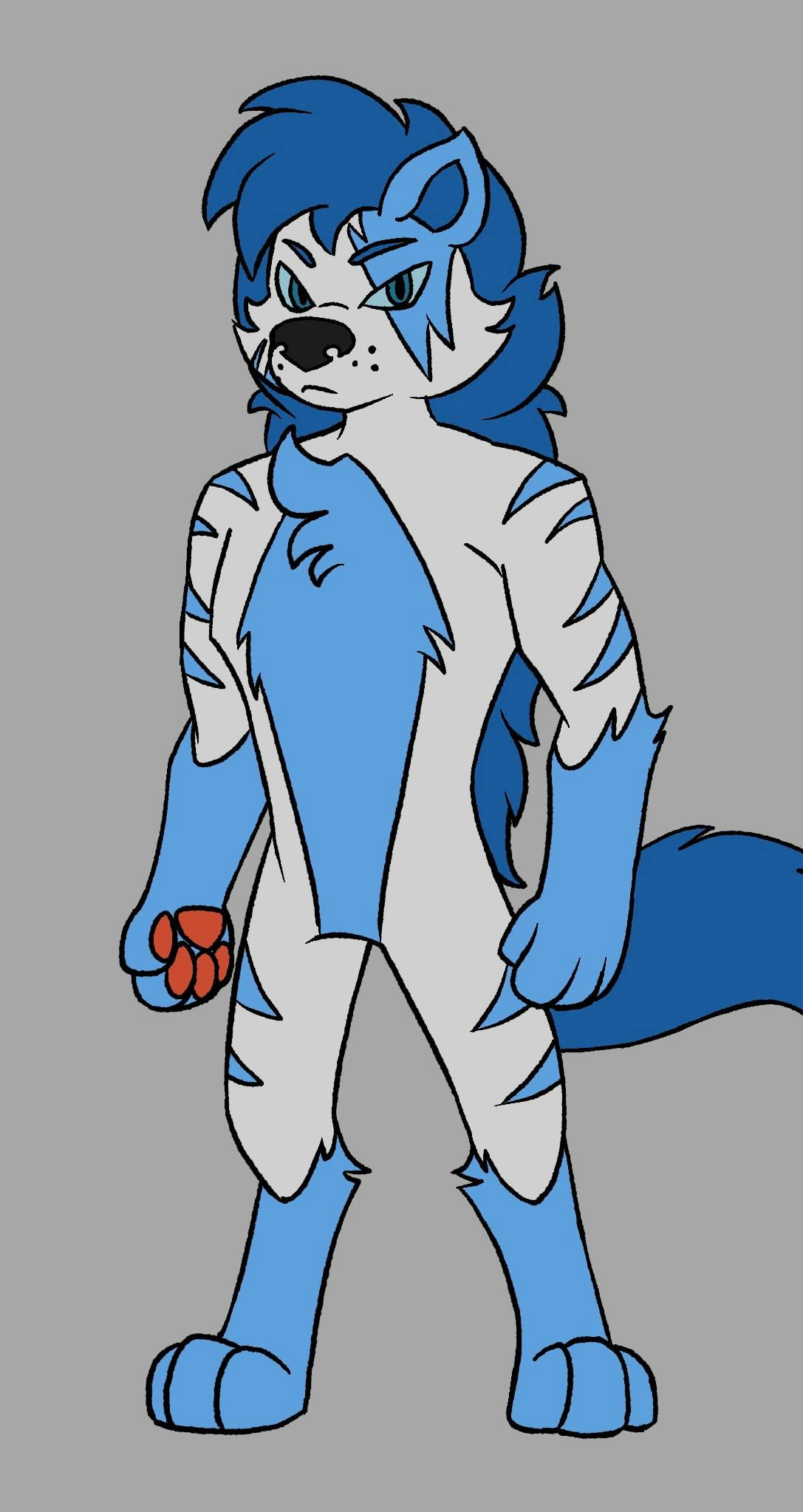 user avatar image for Bluejay