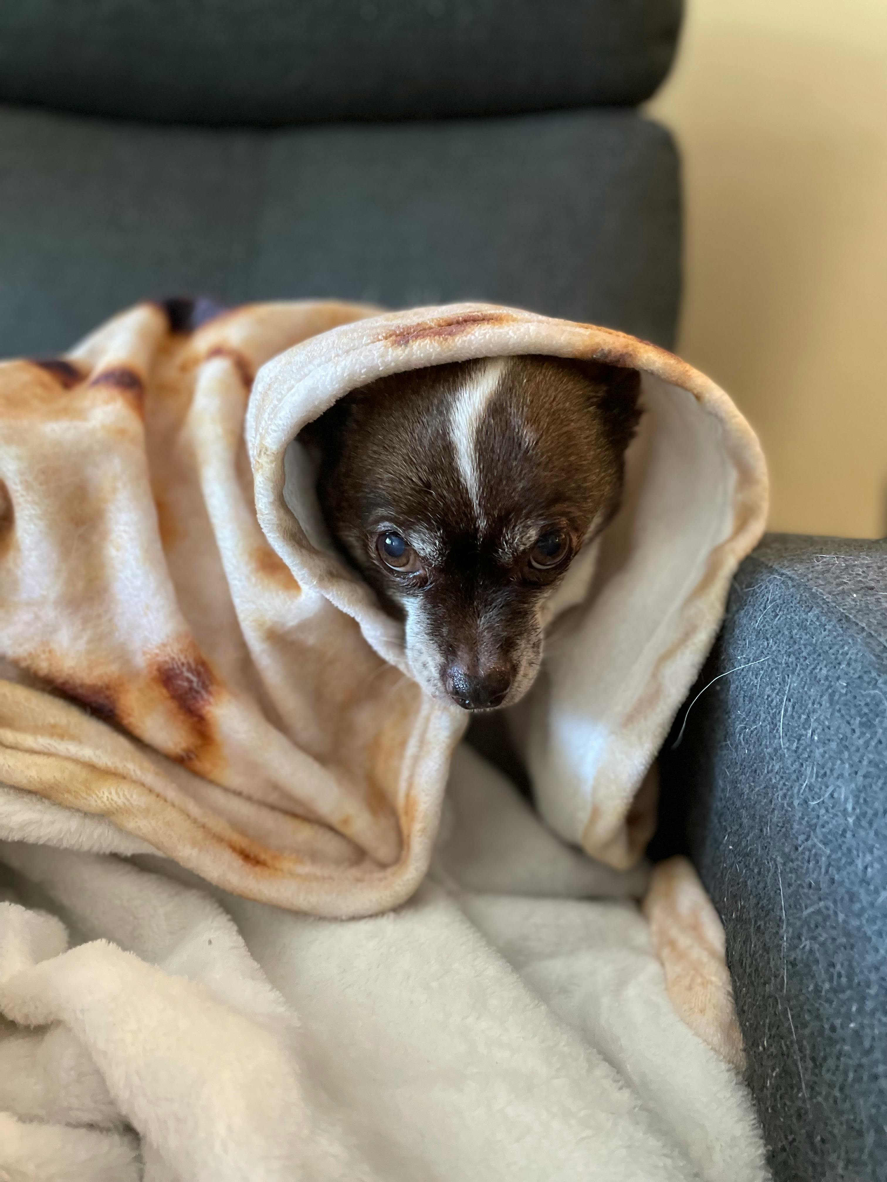 user avatar image for Maribeth Villanueva