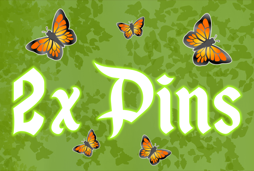 Pin : 2x Enamel Pin (Over 2cm)