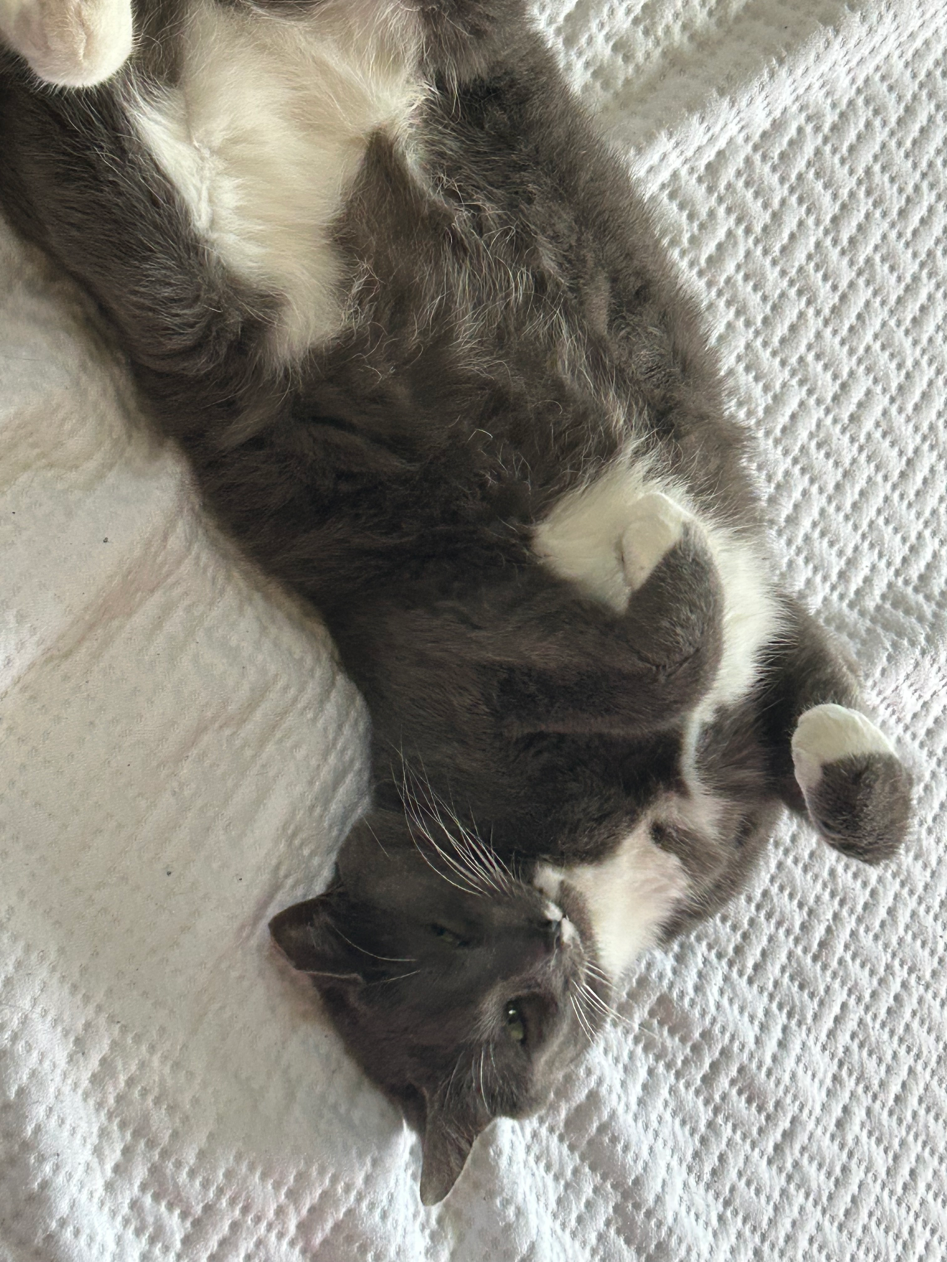 user avatar image for James Kurtz