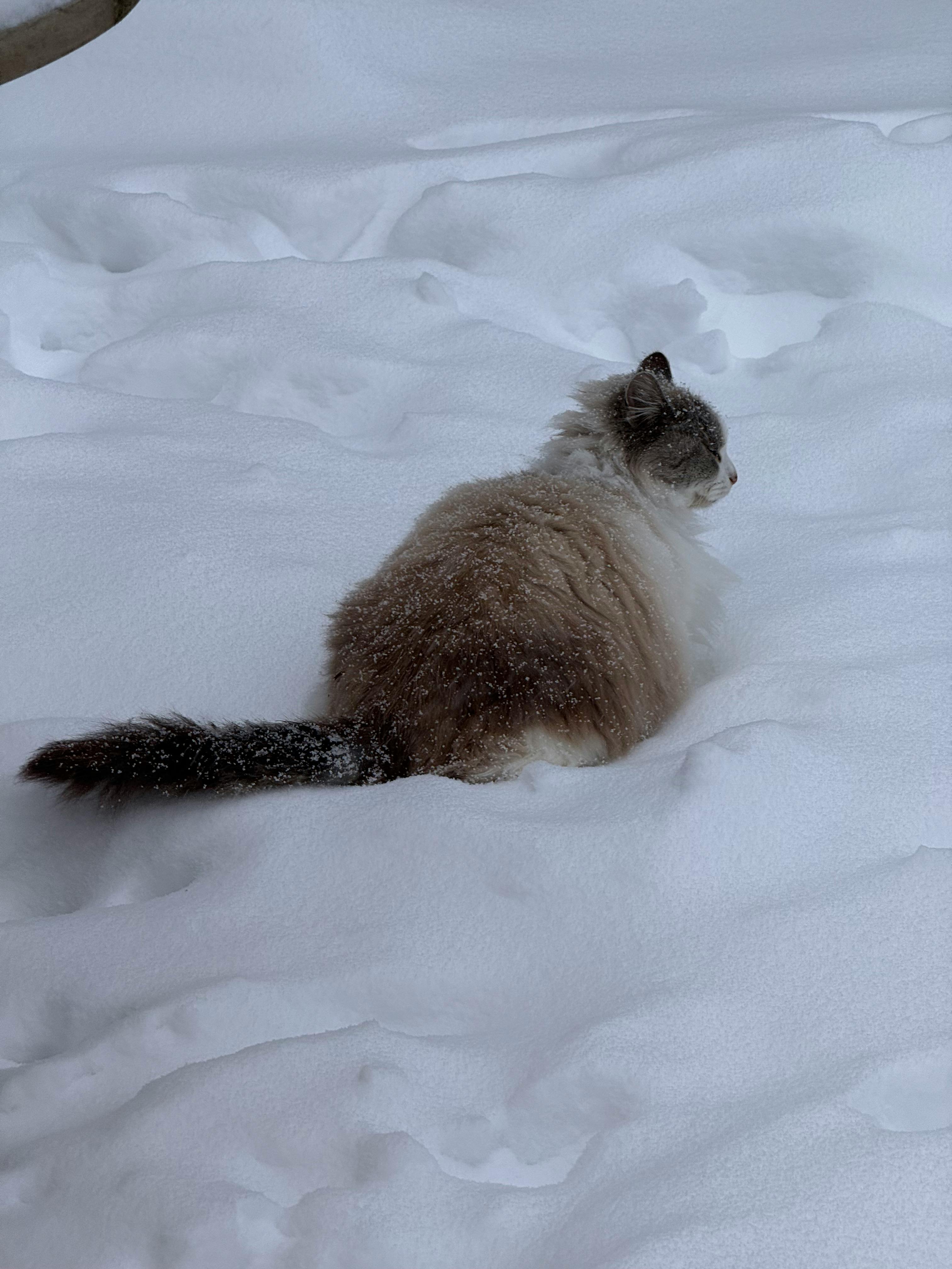 user avatar image for Kendra Daily