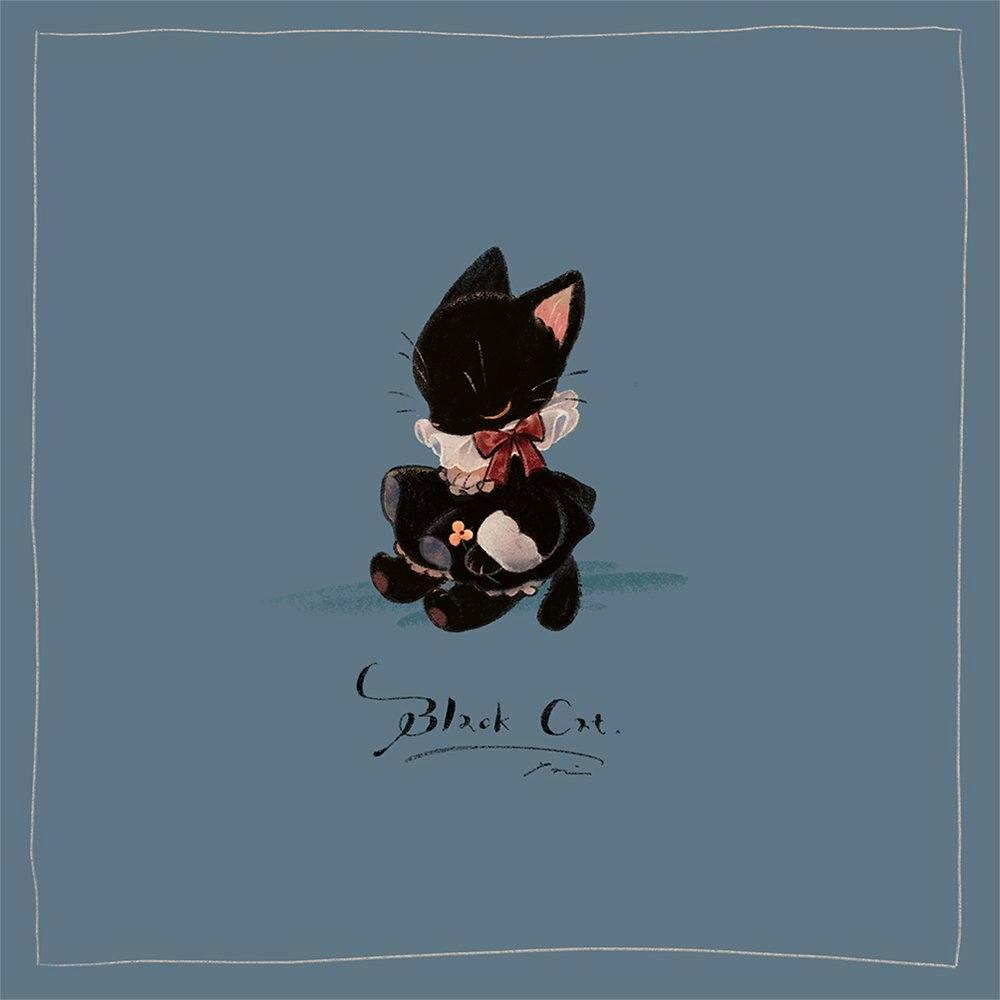 user avatar image for Siestar