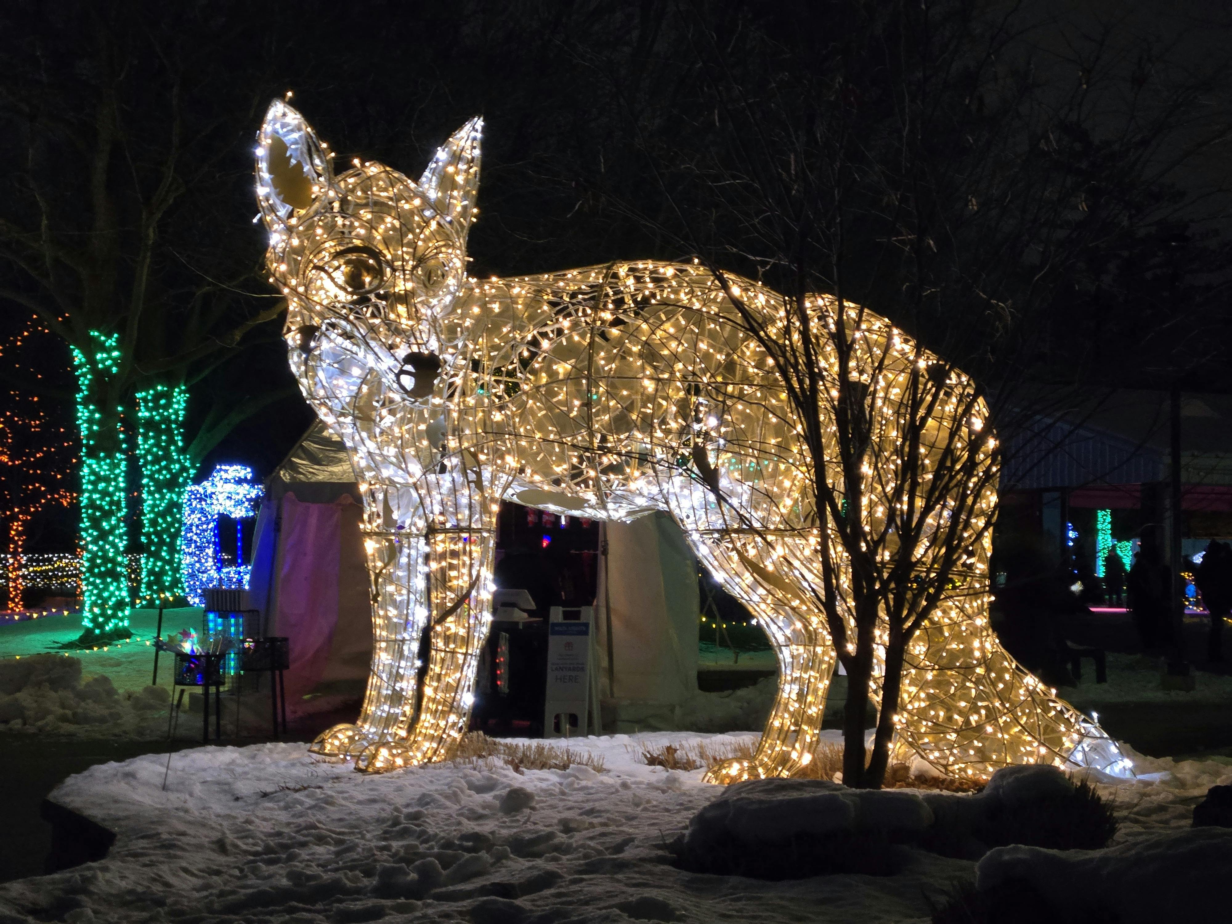 user avatar image for Katrina Debusschere