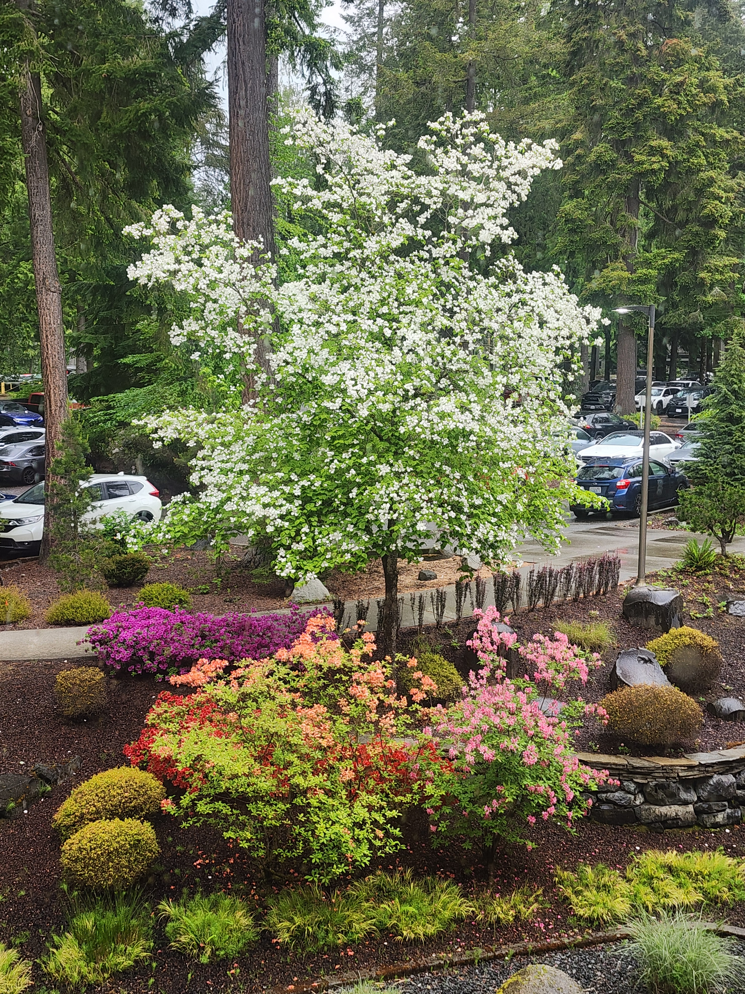 user avatar image for Kathryn