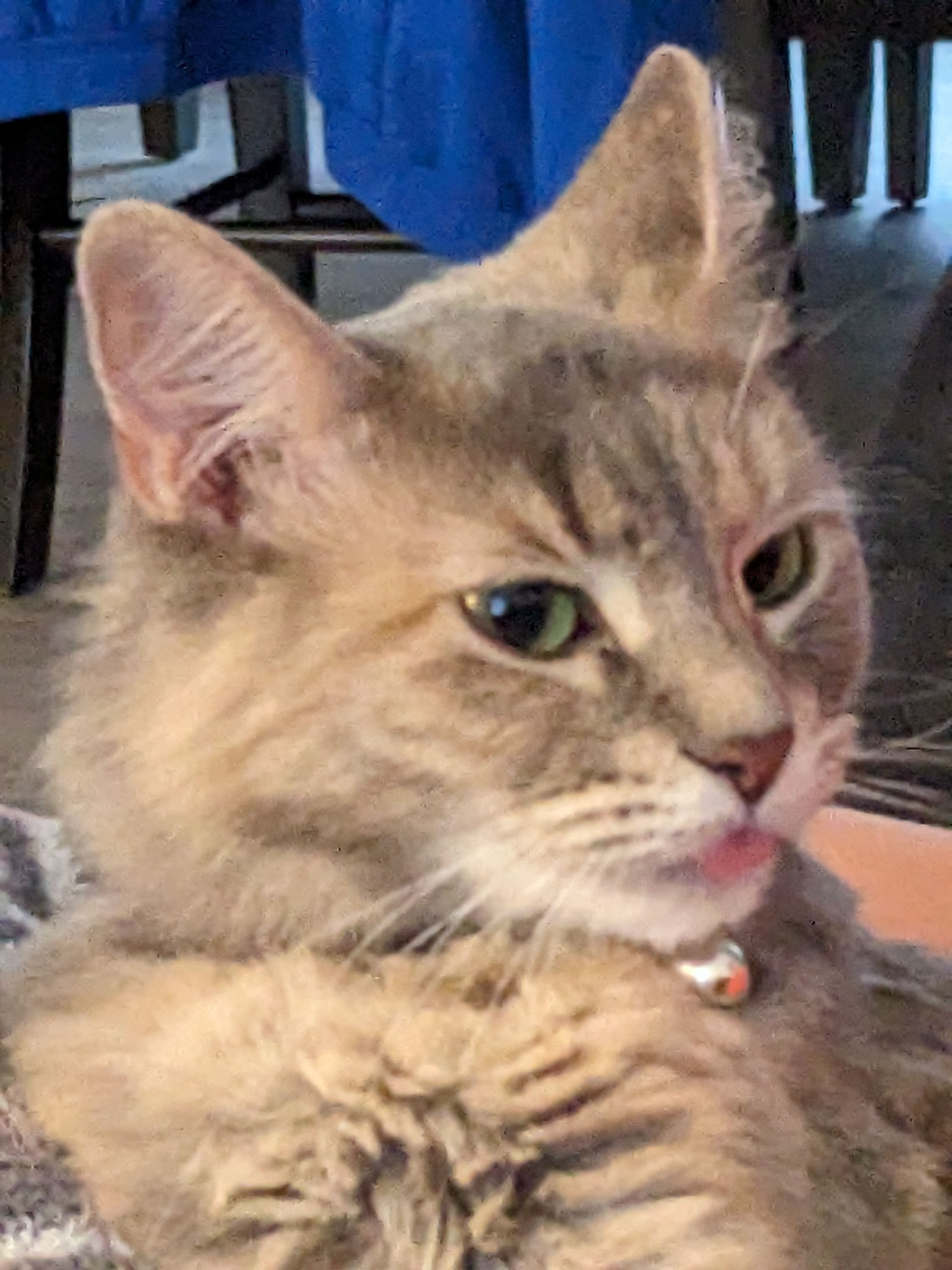 user avatar image for SomeCallMeGON