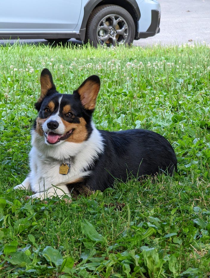 user avatar image for Addie