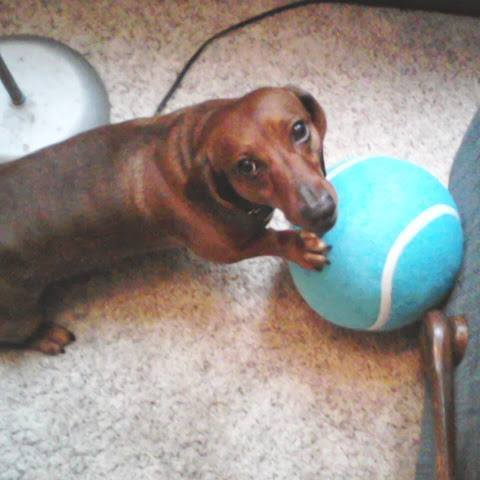 user avatar image for XxSharkiexX