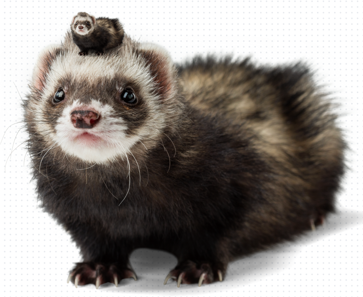 user avatar image for Rina