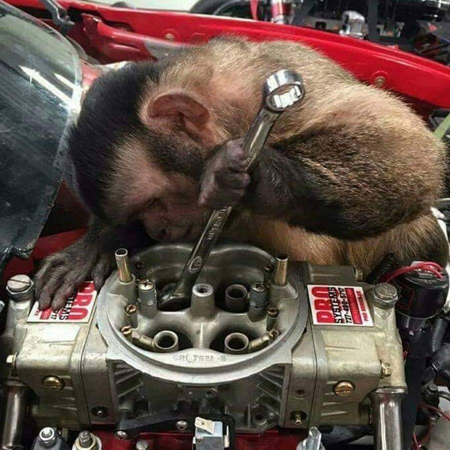 user avatar image for Martin