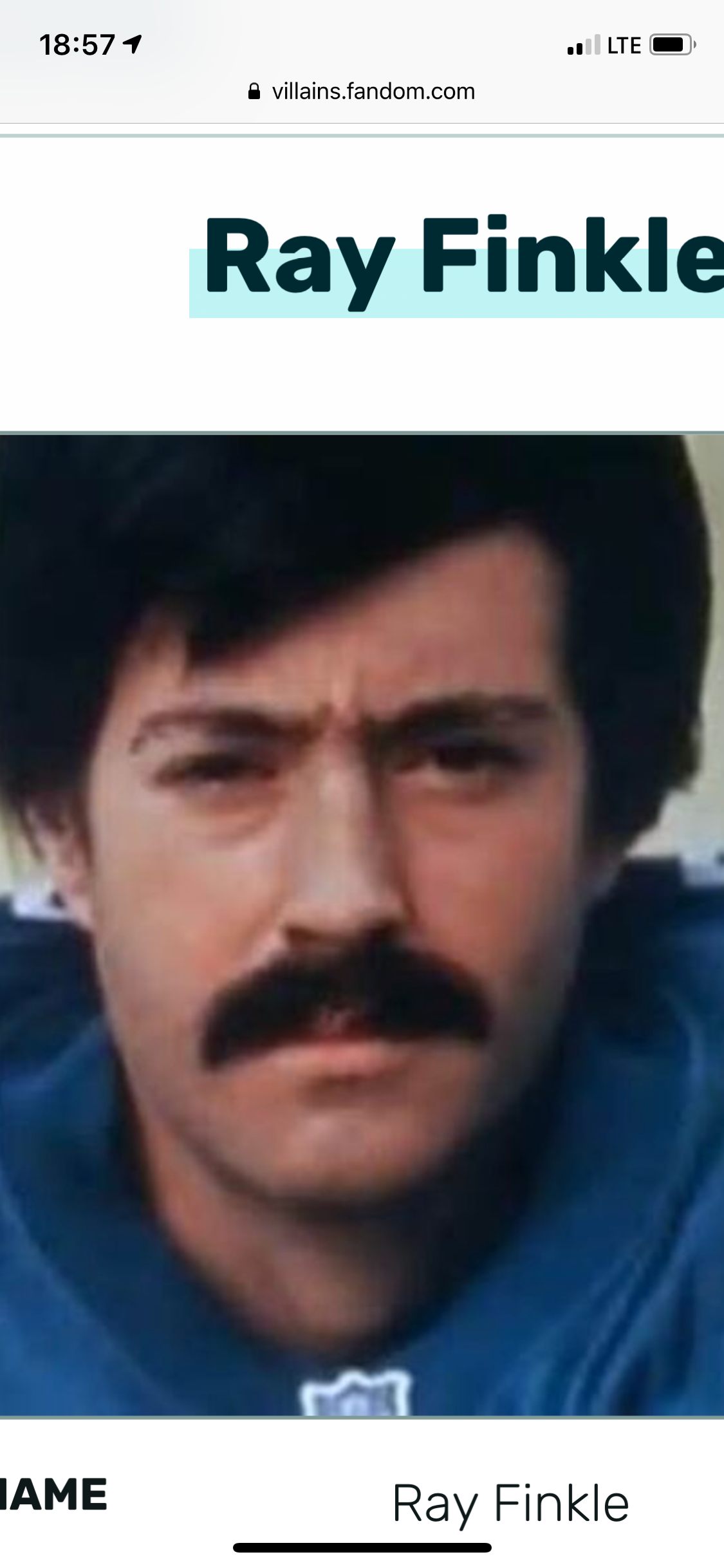 user avatar image for Laufster
