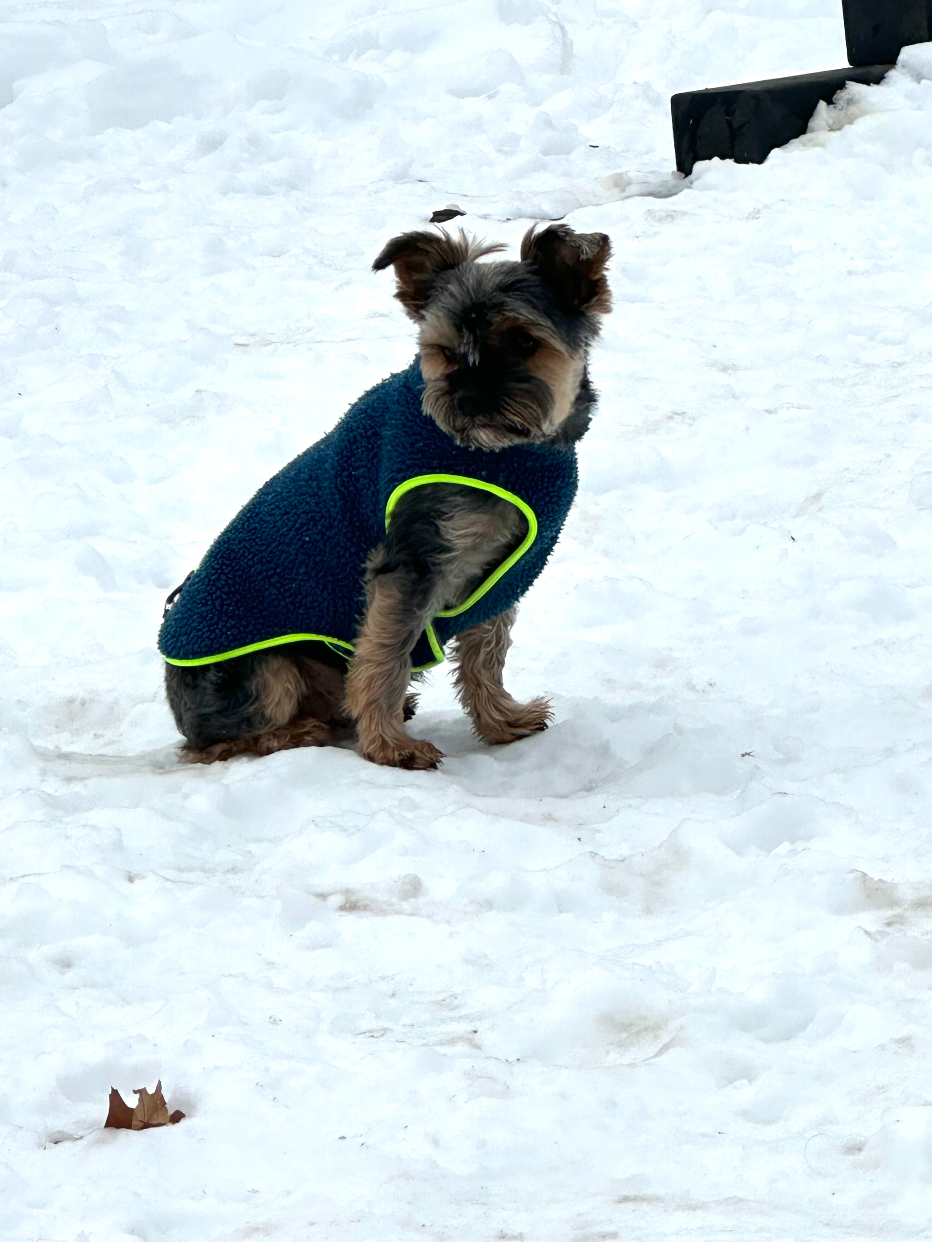 user avatar image for Bethany Duca Johnson