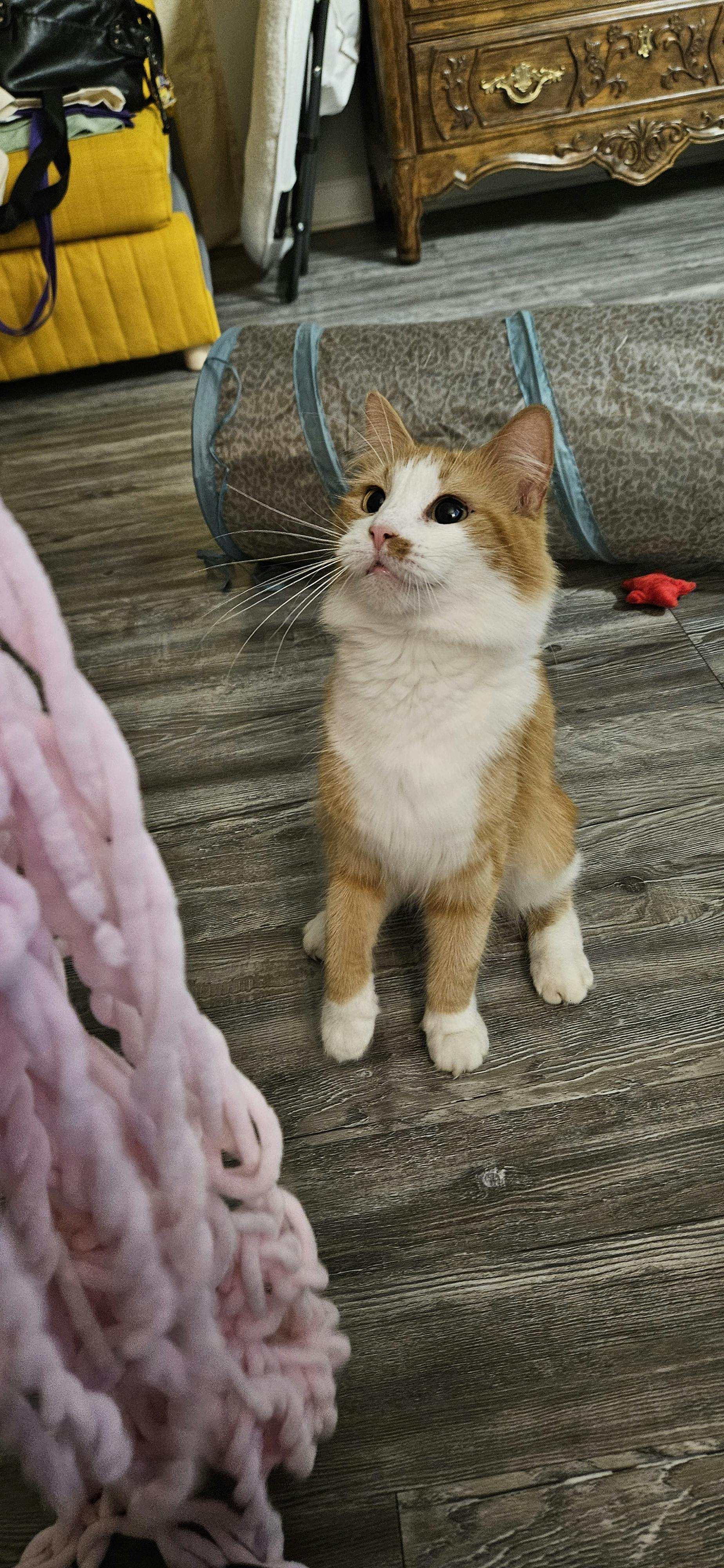 user avatar image for Cie Adams