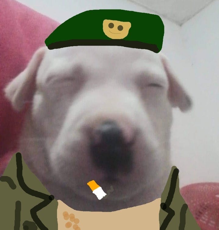 user avatar image for WildMachoBacker